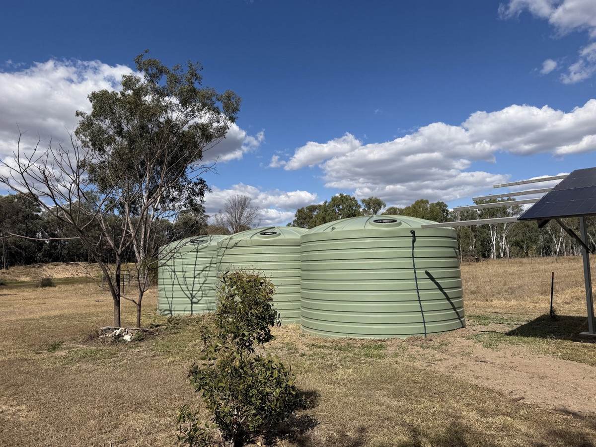 "Frog Hollow" Abercorn Road, Monto For Sale by Farmbuy.com - image 27