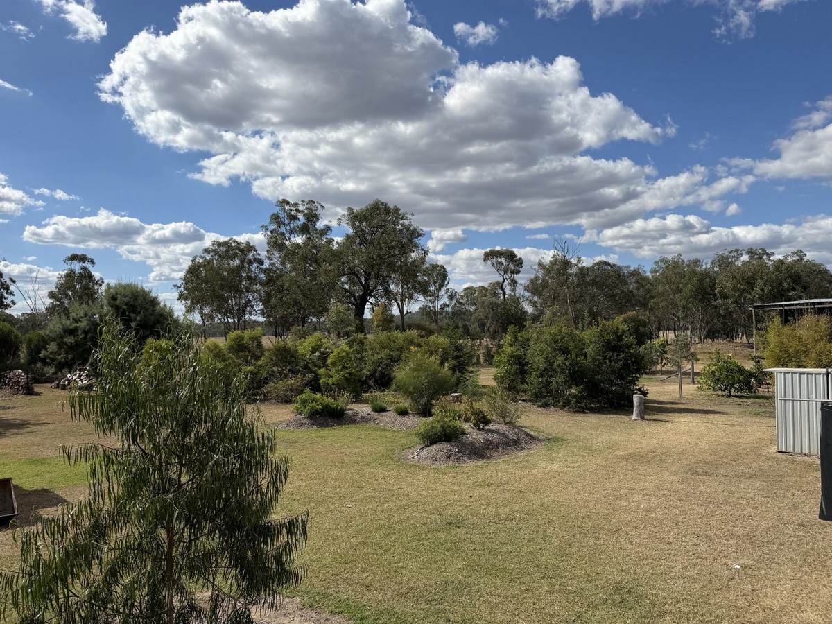 "Frog Hollow" Abercorn Road, Monto For Sale by Farmbuy.com - image 22