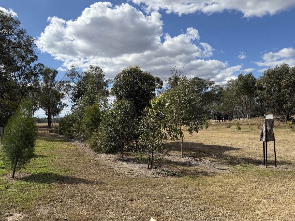 "Frog Hollow" Abercorn Road, Monto For Sale by Farmbuy.com - image 29