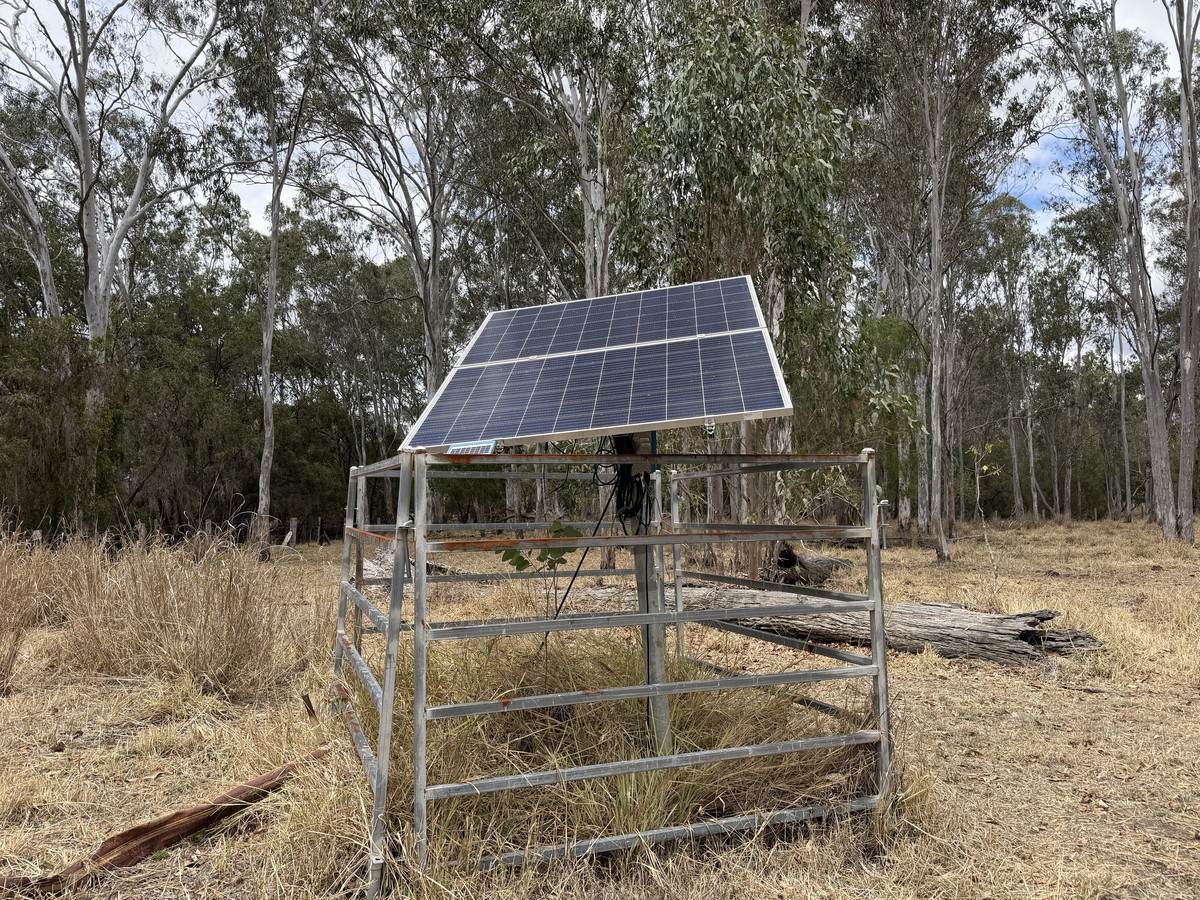 "Frog Hollow" Abercorn Road, Monto For Sale by Farmbuy.com - image 31