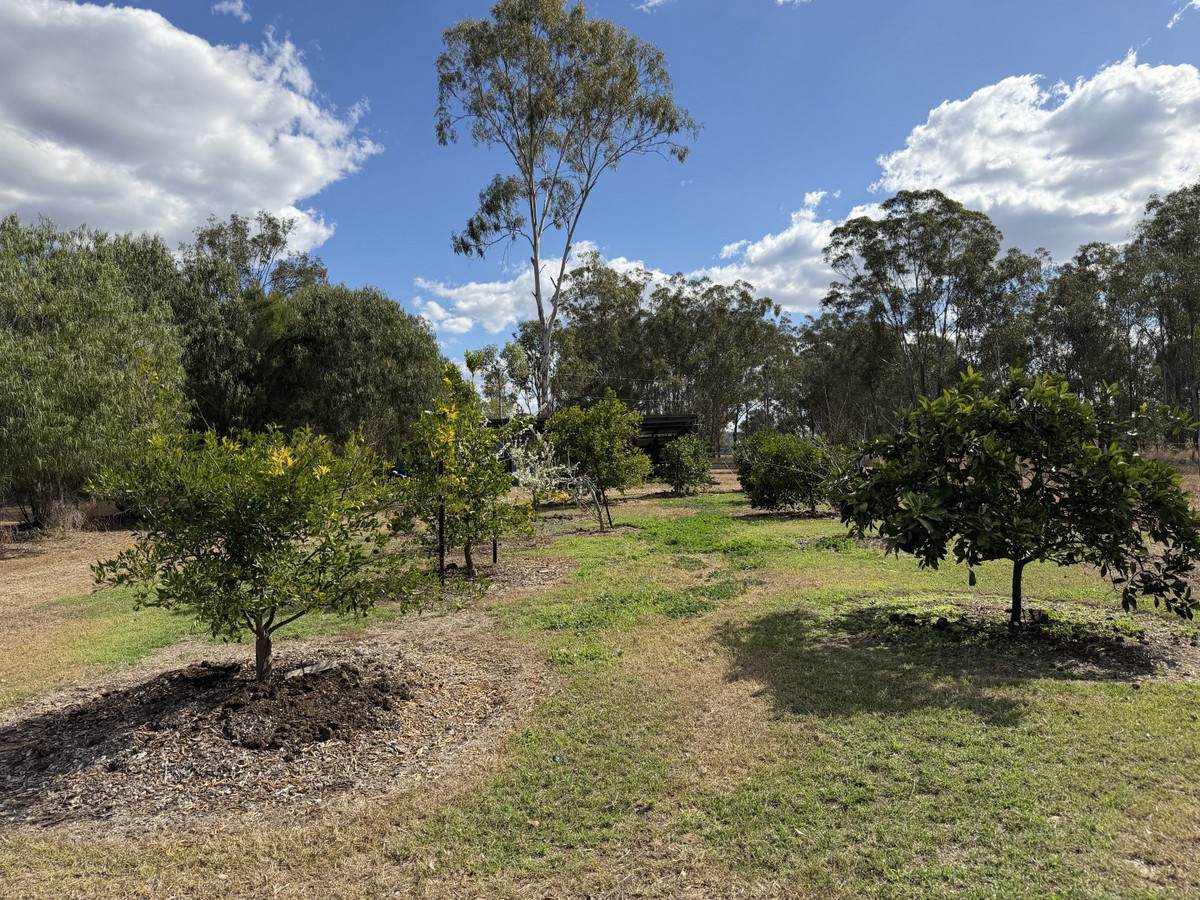"Frog Hollow" Abercorn Road, Monto For Sale by Farmbuy.com - image 21