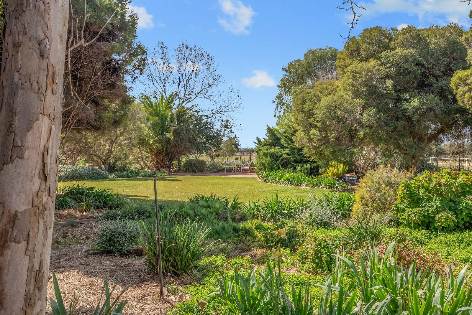 216 Boorga Road, Lake Wyangan For Sale by Farmbuy.com - image 26