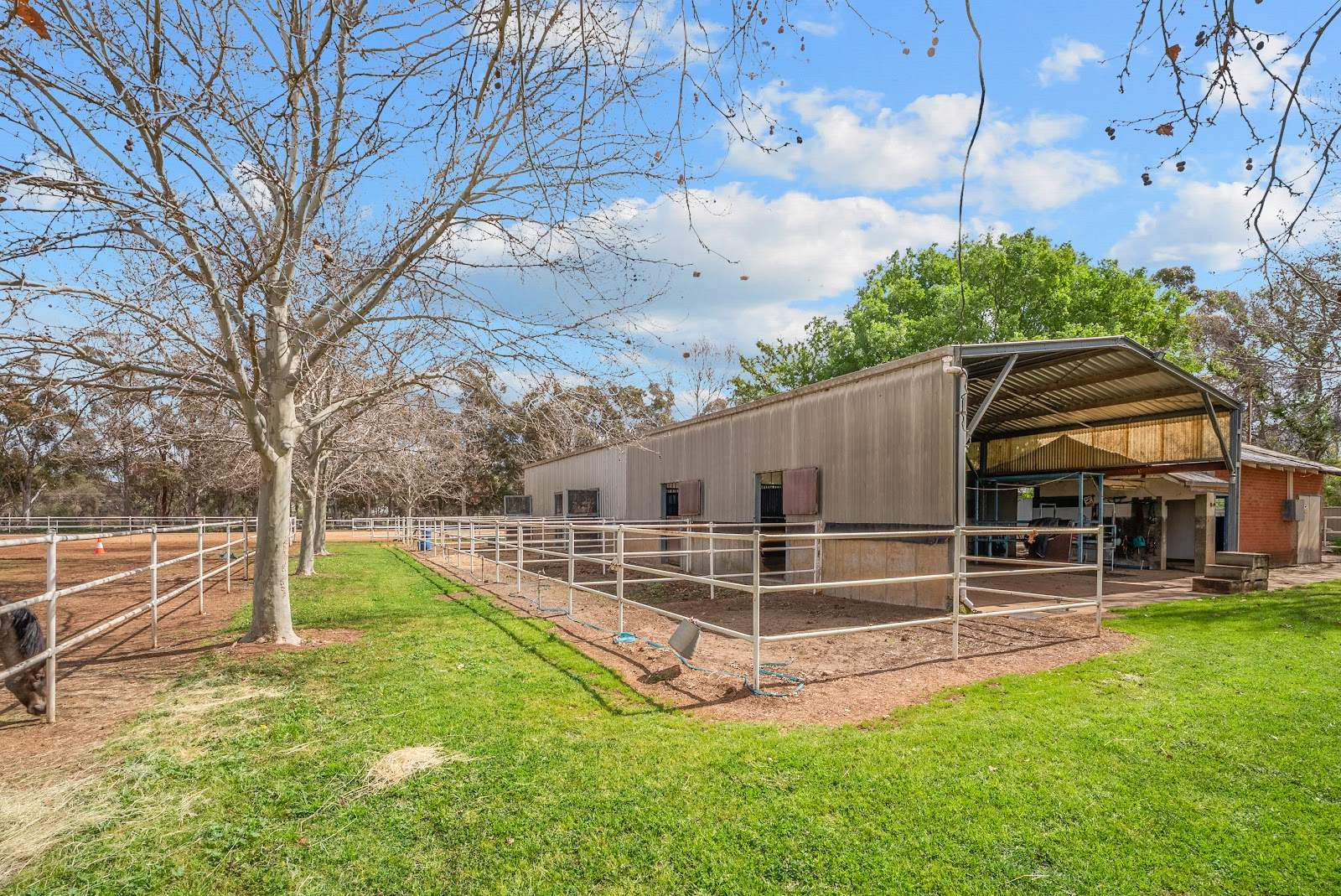 216 Boorga Road, Lake Wyangan For Sale by Farmbuy.com - image 31