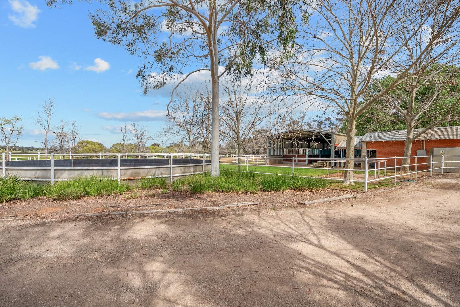 216 Boorga Road, Lake Wyangan For Sale by Farmbuy.com - image 29