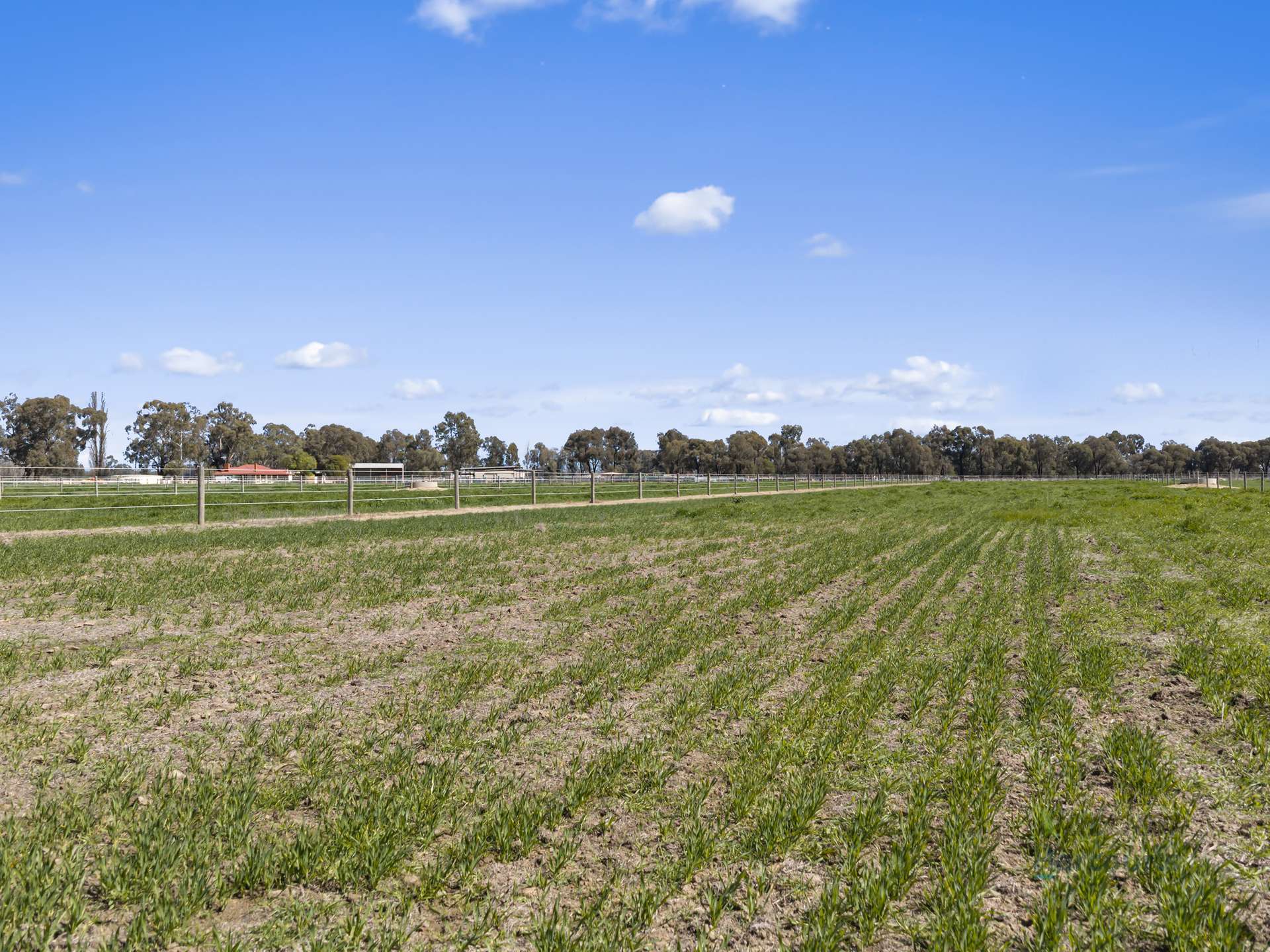 246 Sandilands Road, Kaarimba For Sale by Farmbuy.com - image 28