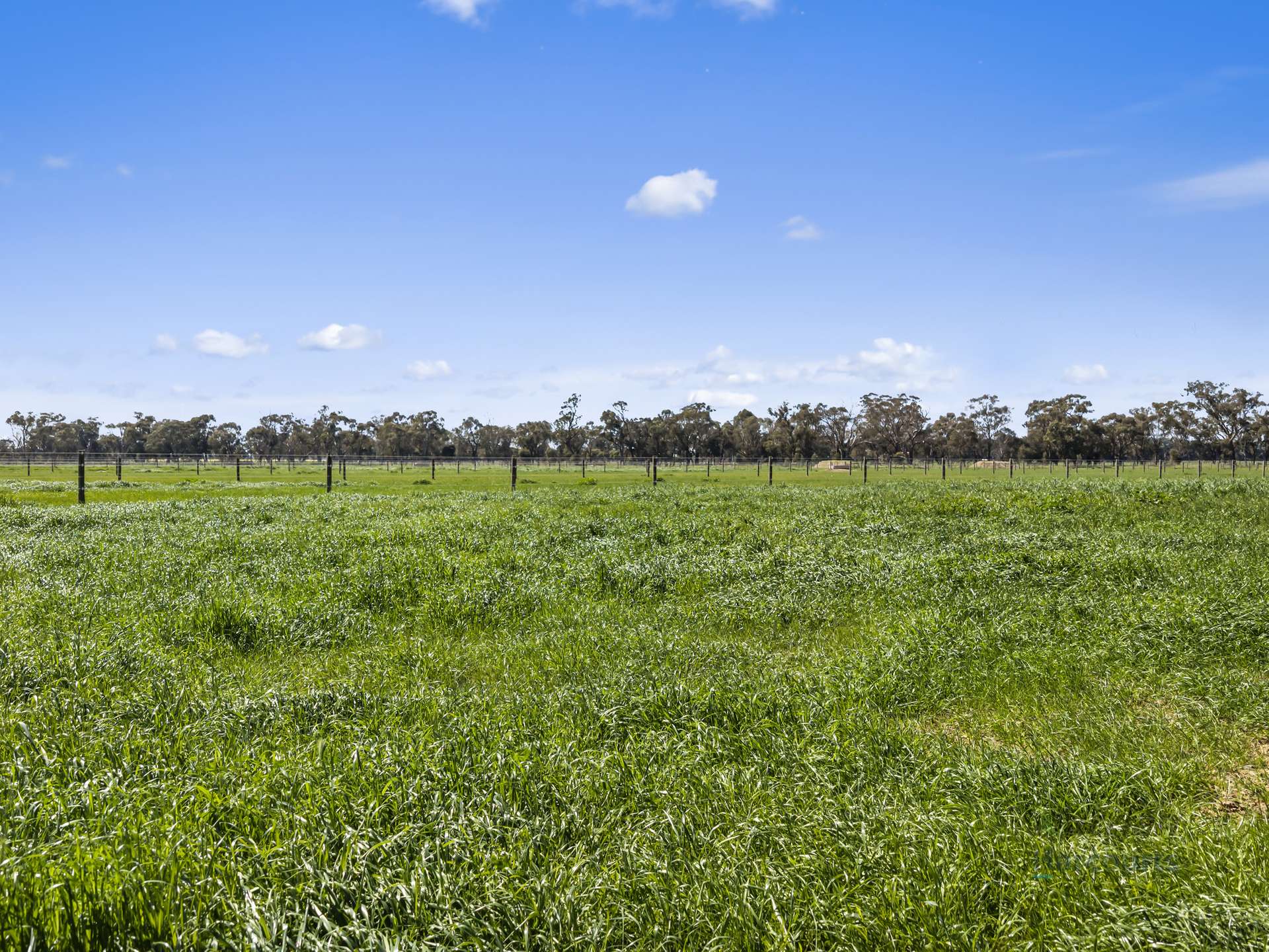 246 Sandilands Road, Kaarimba For Sale by Farmbuy.com - image 26