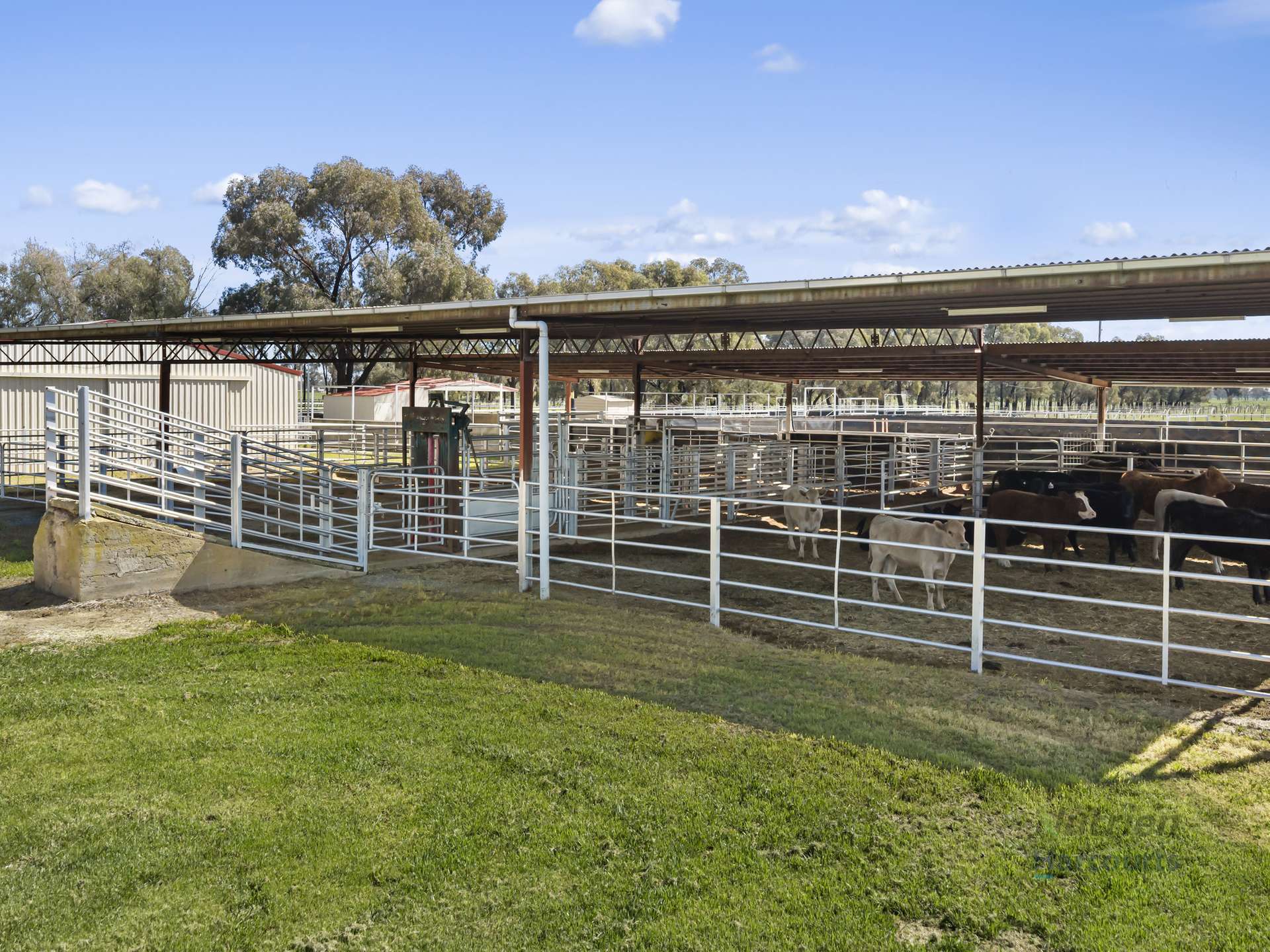 246 Sandilands Road, Kaarimba For Sale by Farmbuy.com - image 5