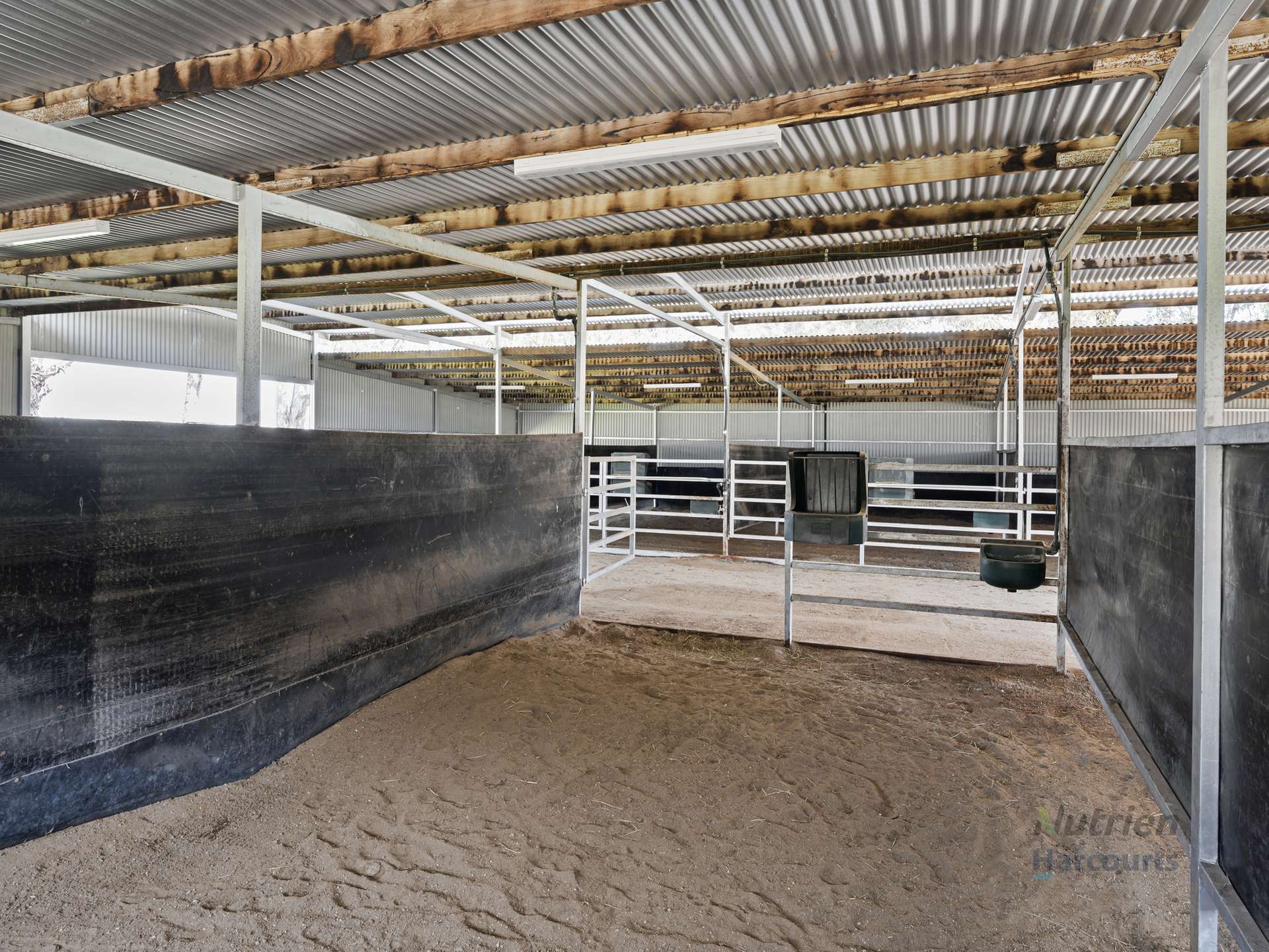 246 Sandilands Road, Kaarimba For Sale by Farmbuy.com - image 14