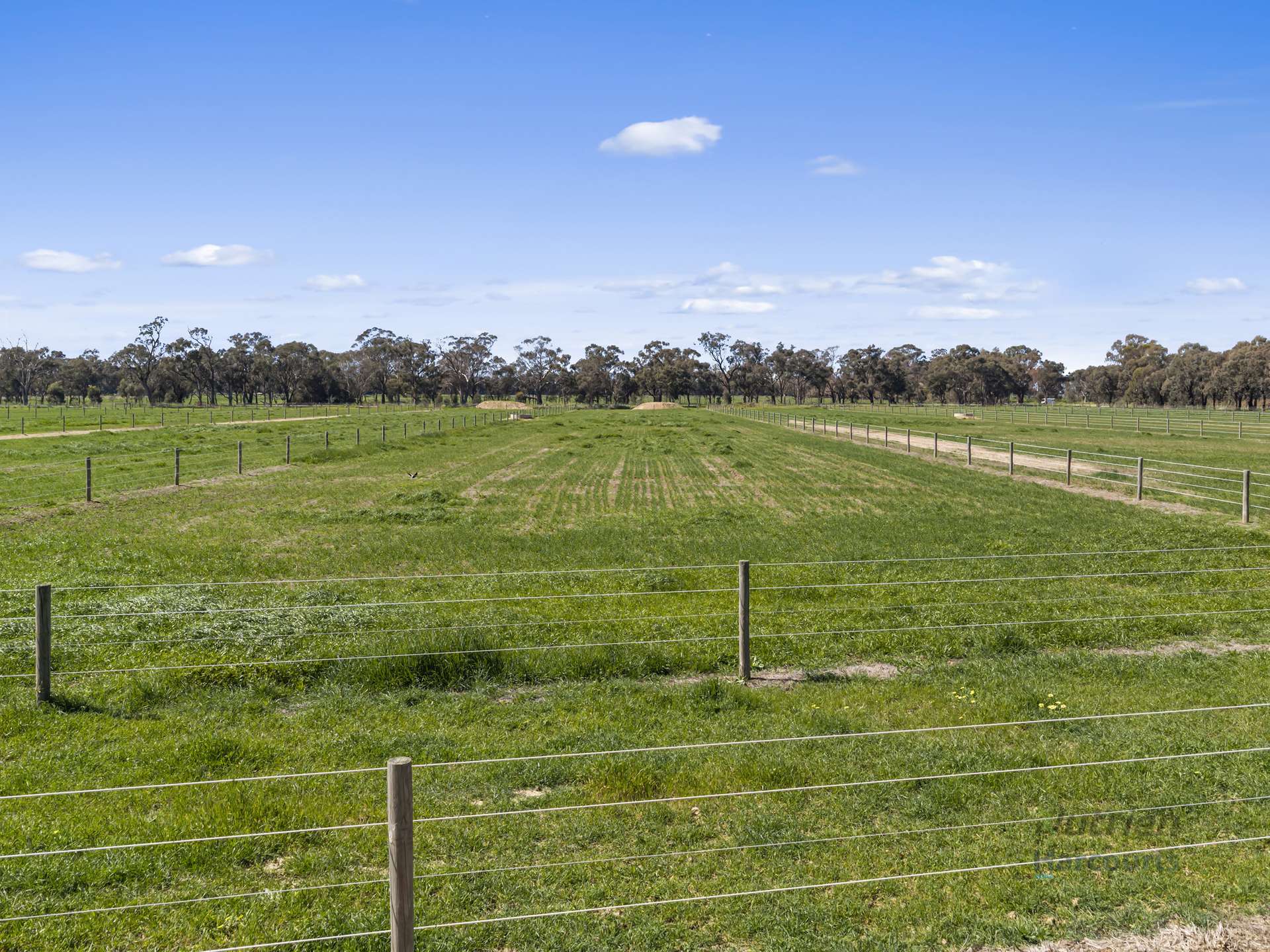 246 Sandilands Road, Kaarimba For Sale by Farmbuy.com - image 27