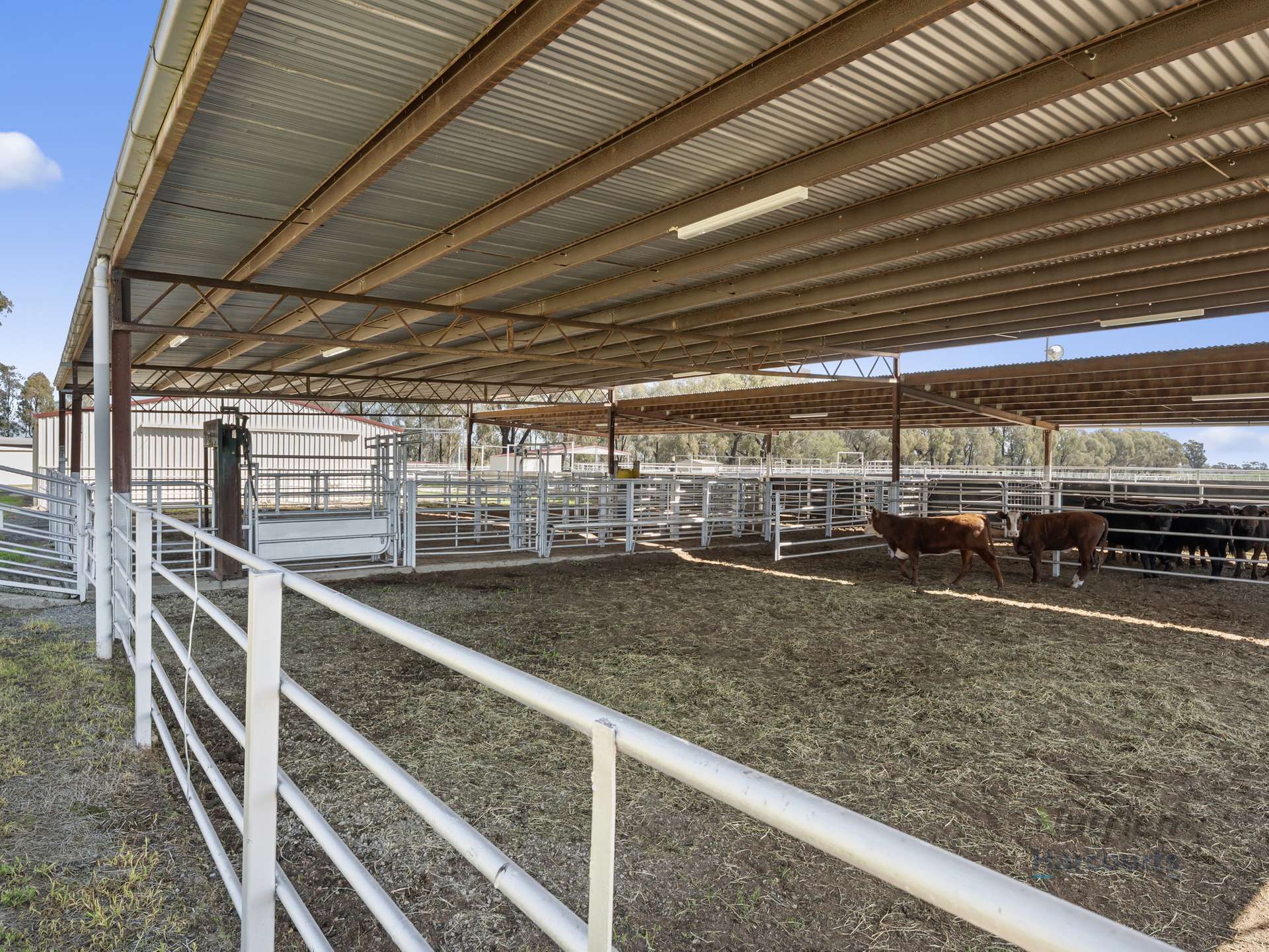 246 Sandilands Road, Kaarimba For Sale by Farmbuy.com - image 7