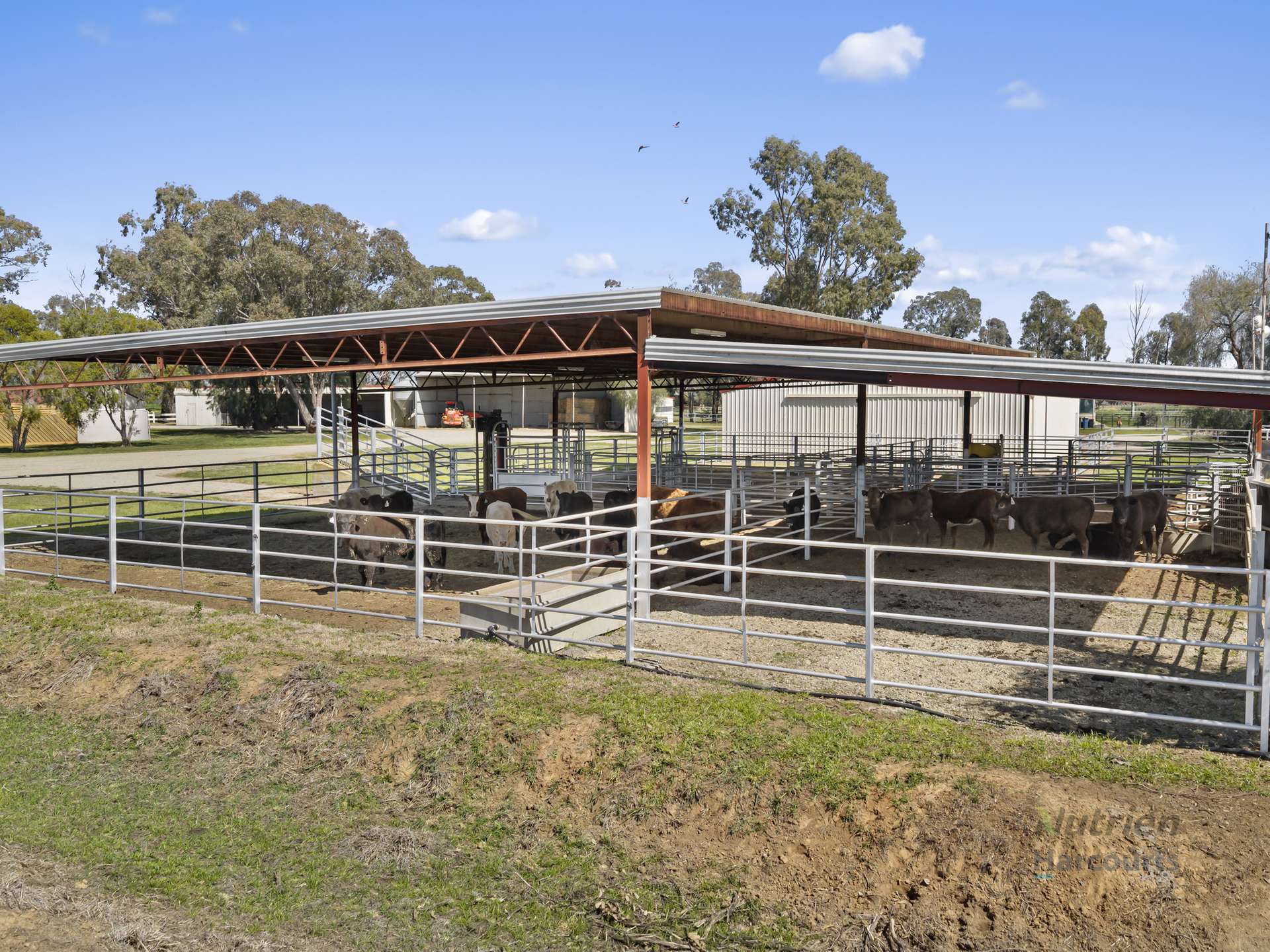 246 Sandilands Road, Kaarimba For Sale by Farmbuy.com - image 6