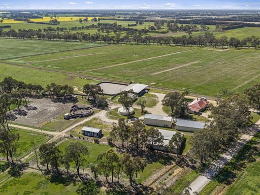 Farm For Sale - VIC - Kaarimba - 3635 - Turn-Key Equine & Lifestyle Property with Outstanding Infrastructure 