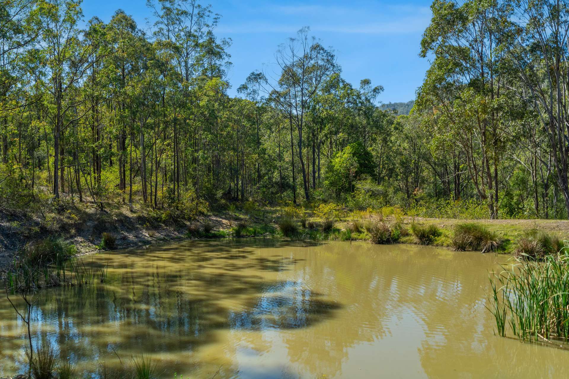 1532 Glendonbrook Road, Glendon Brook For Sale by Farmbuy.com - image 18