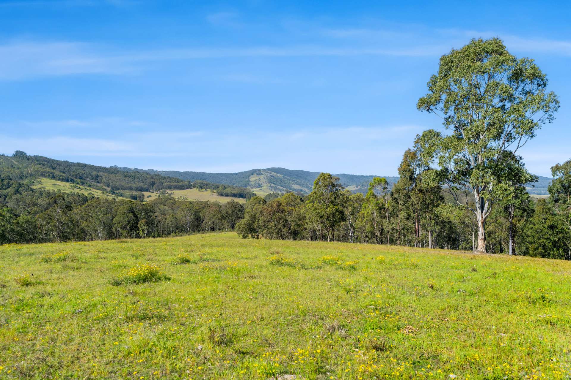 1532 Glendonbrook Road, Glendon Brook For Sale by Farmbuy.com - image 9