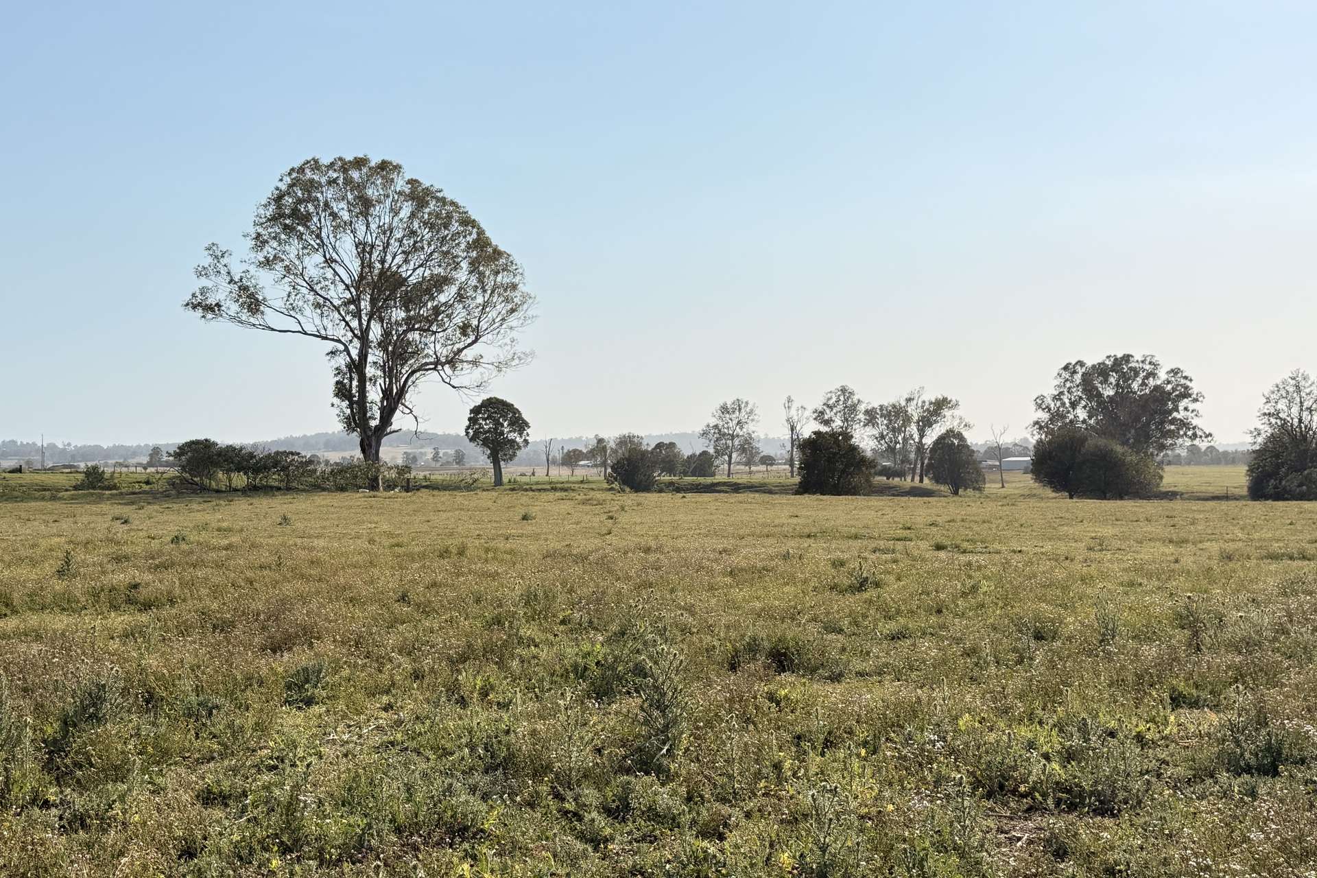 146 Allan Creek Road, Gleneagle For Sale by Farmbuy.com - image 5