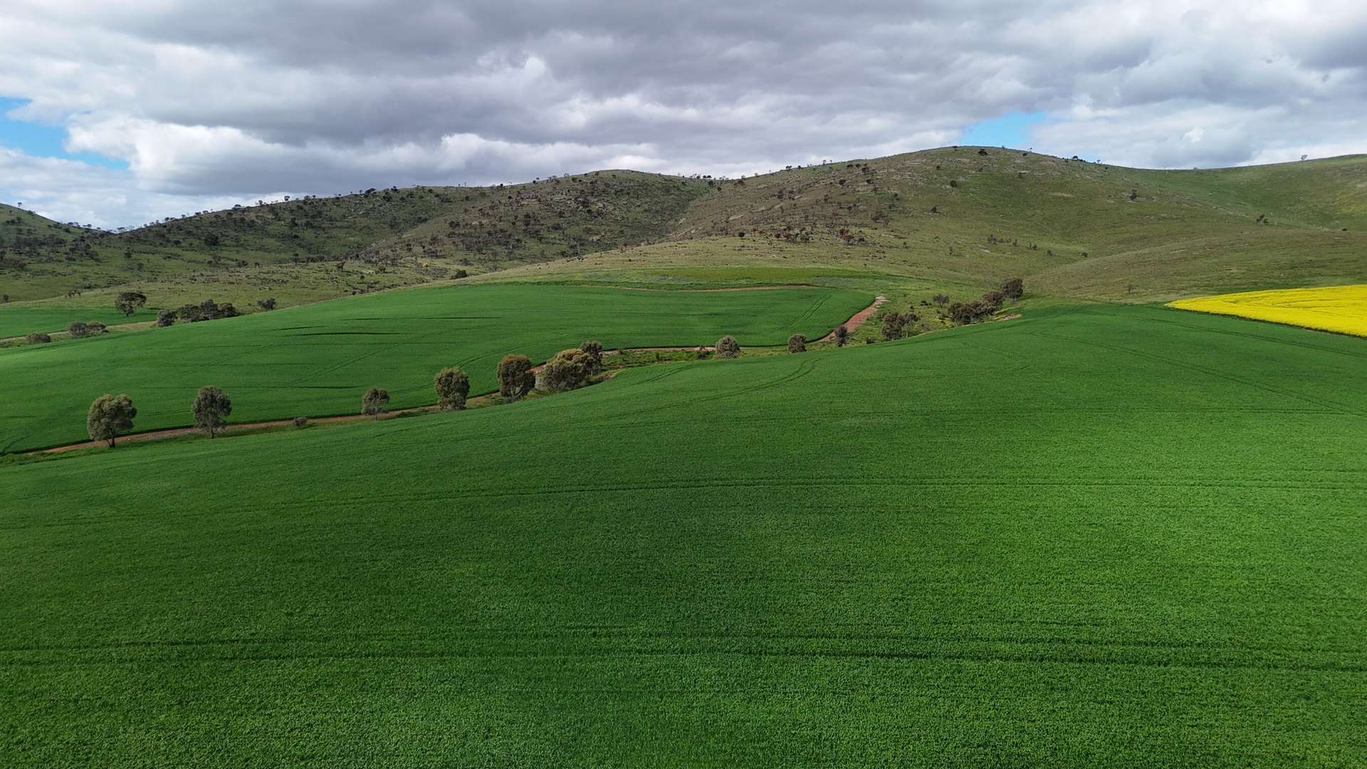 'Sweets & Gums' Pekina Range Road, Pekina For Sale by Farmbuy.com - image 9