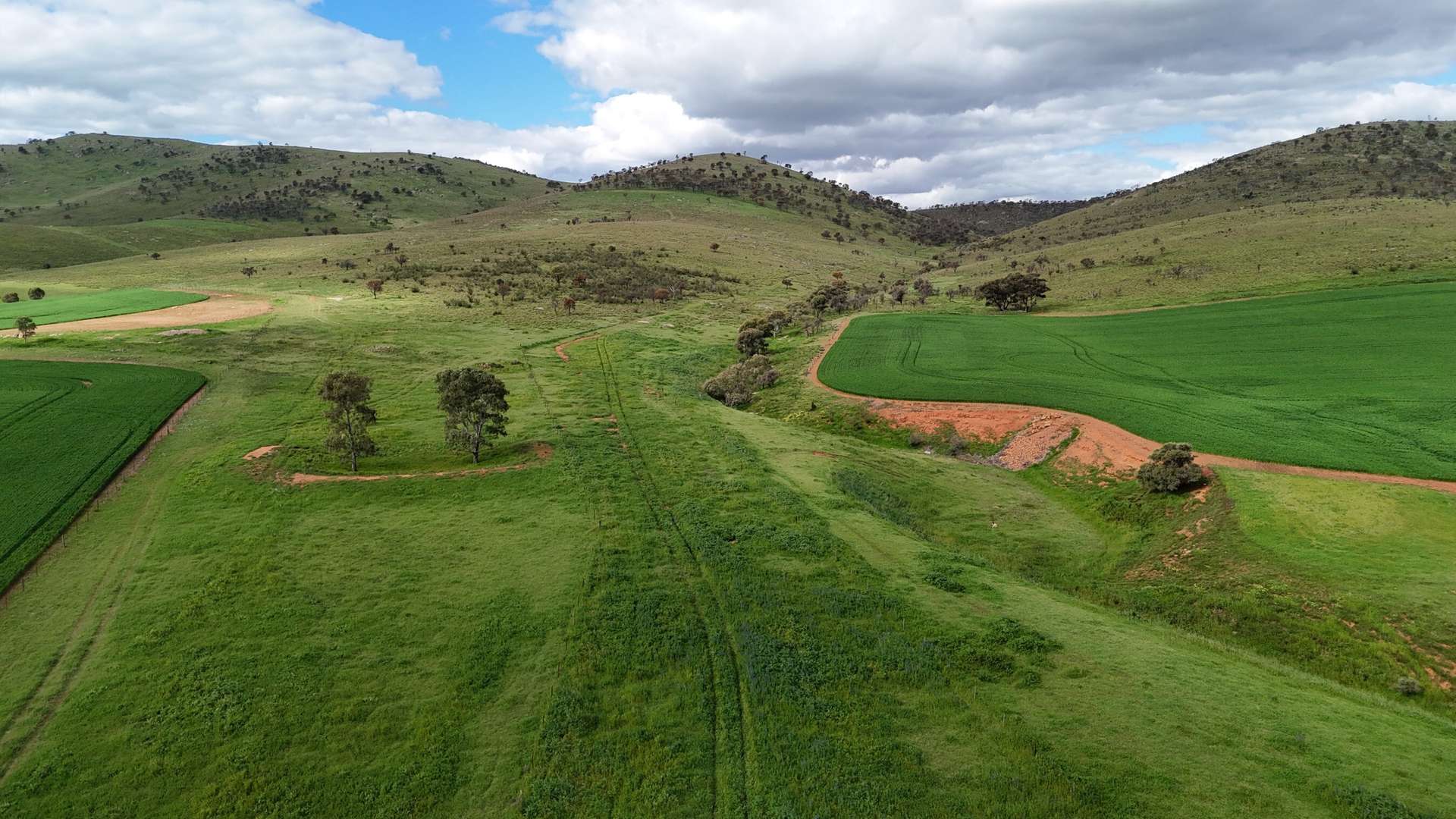 'Sweets & Gums' Pekina Range Road, Pekina For Sale by Farmbuy.com - image 14