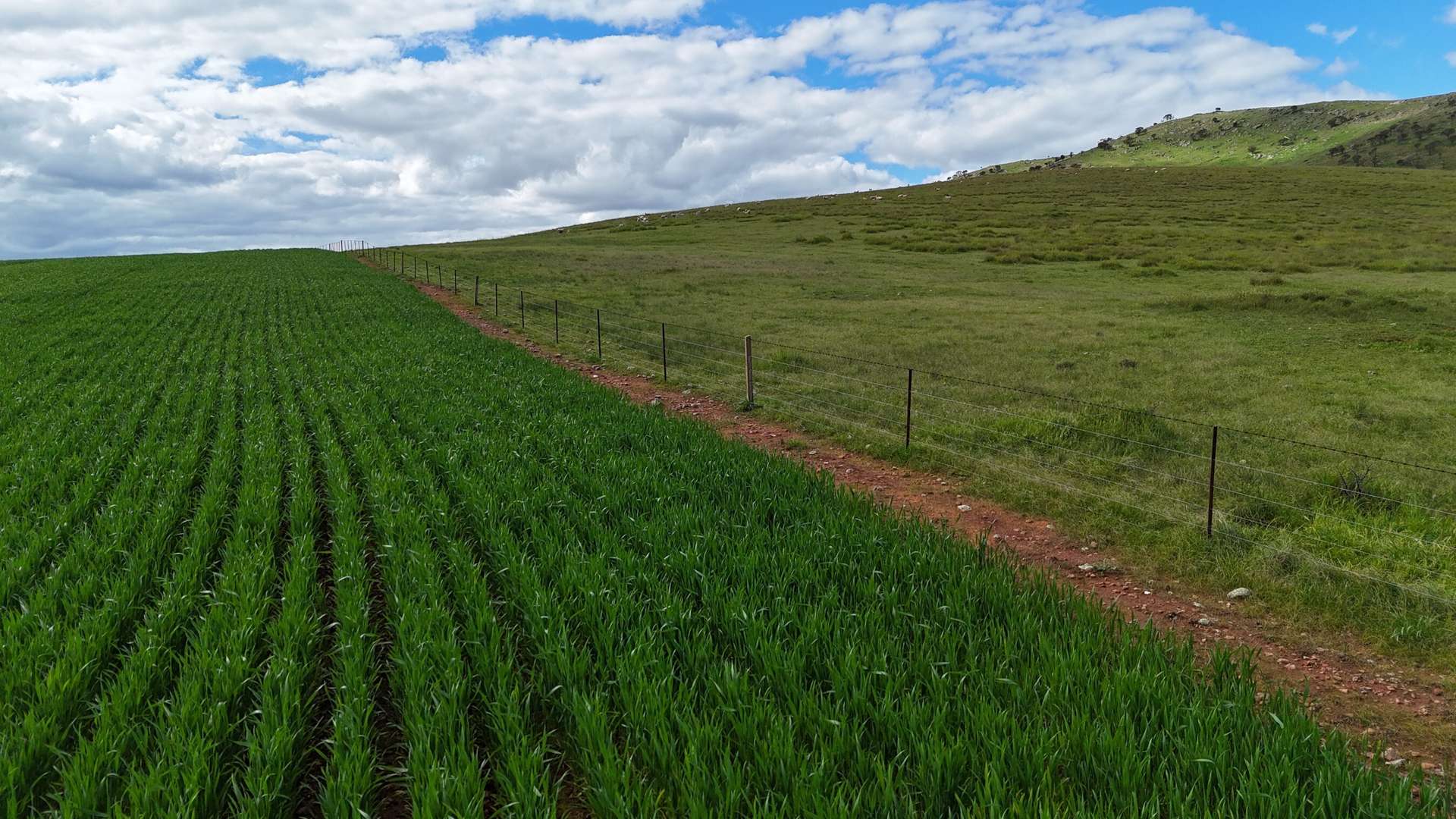 'Sweets & Gums' Pekina Range Road, Pekina For Sale by Farmbuy.com - image 11