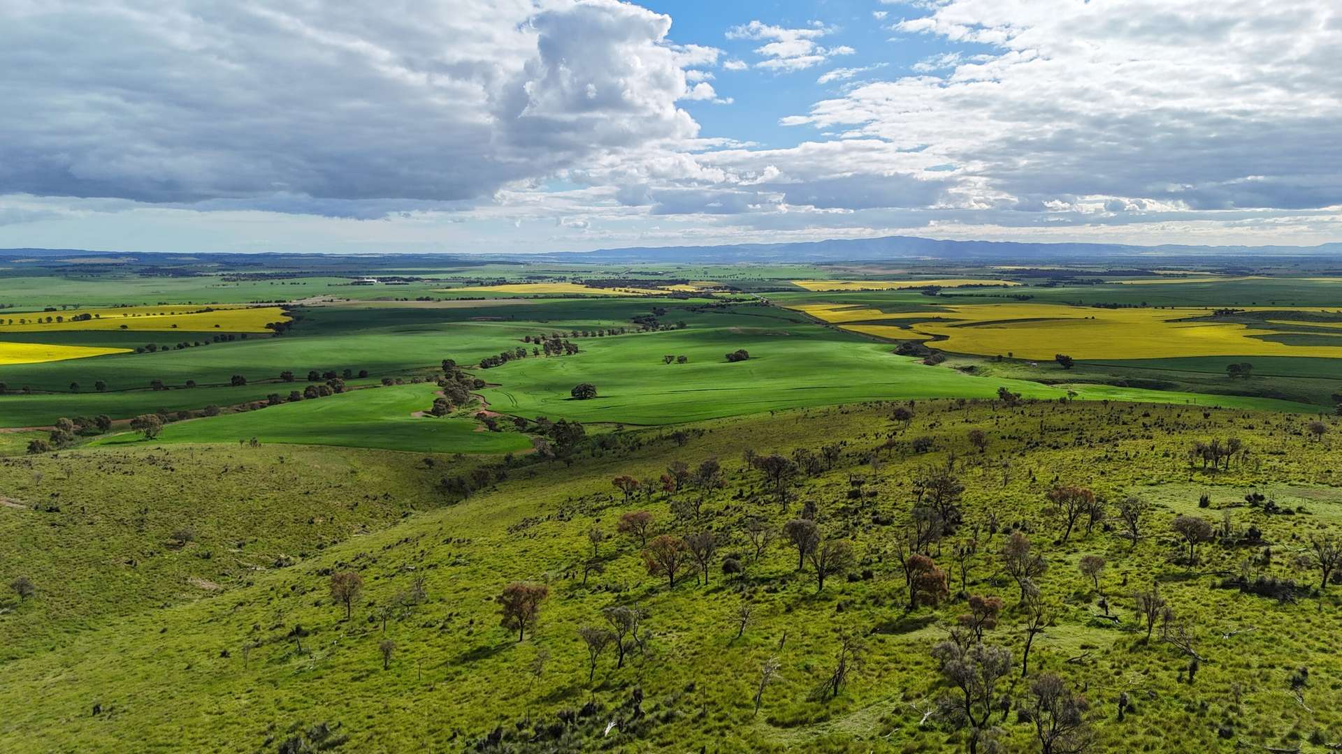 'Sweets & Gums' Pekina Range Road, Pekina For Sale by Farmbuy.com - image 17