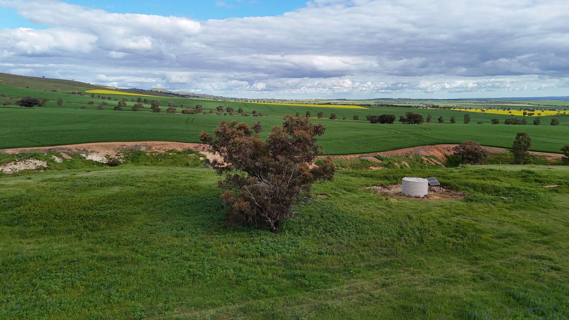 'Sweets & Gums' Pekina Range Road, Pekina For Sale by Farmbuy.com - image 13