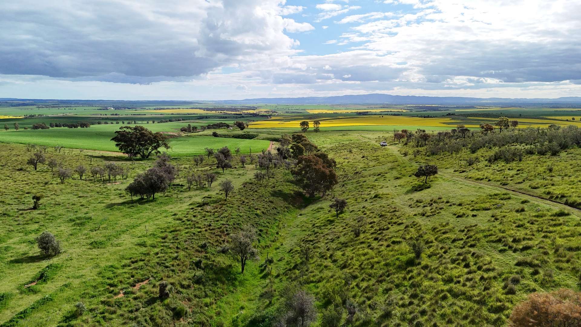 'Sweets & Gums' Pekina Range Road, Pekina For Sale by Farmbuy.com - image 19