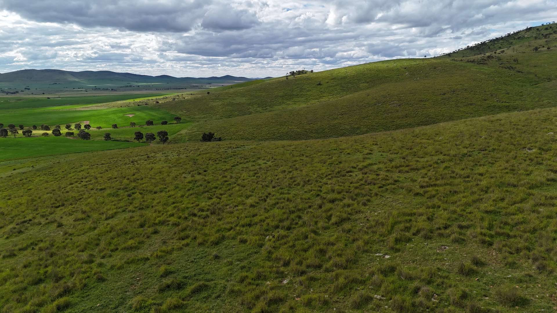 'Sweets & Gums' Pekina Range Road, Pekina For Sale by Farmbuy.com - image 16
