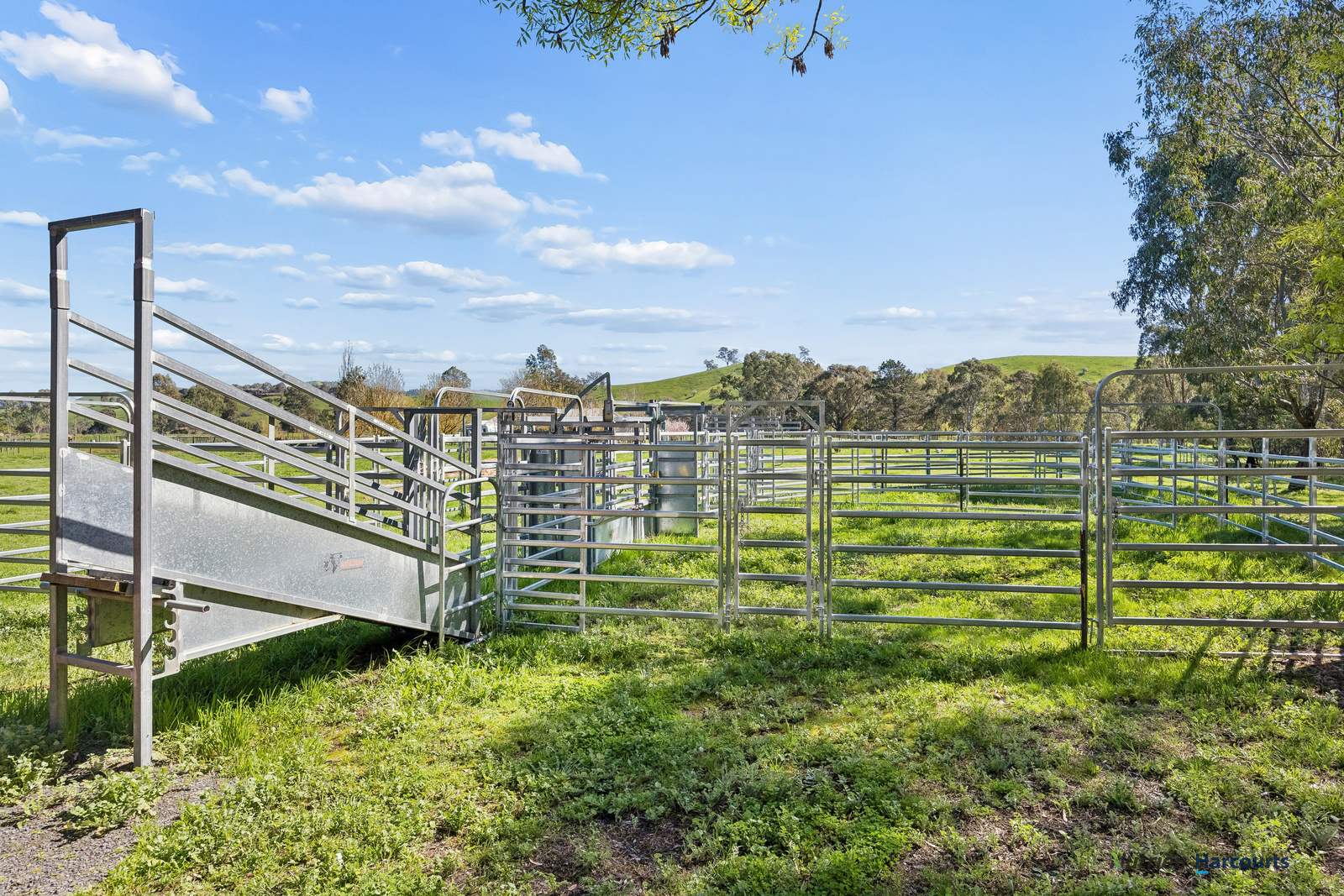 5011 Maroondah Highway, Alexandra For Sale by Farmbuy.com - image 31