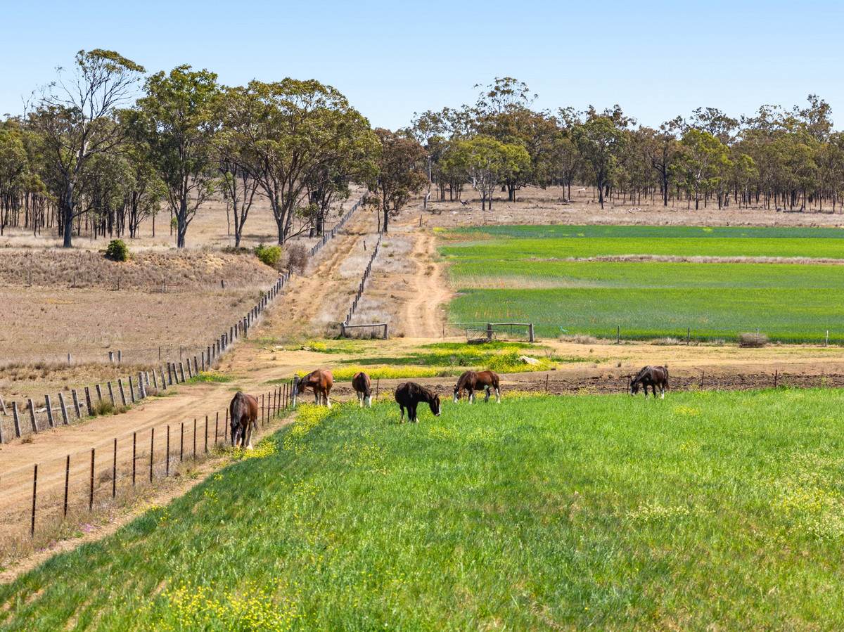 818 Dungannon Road, Clifton For Sale by Farmbuy.com - image 9