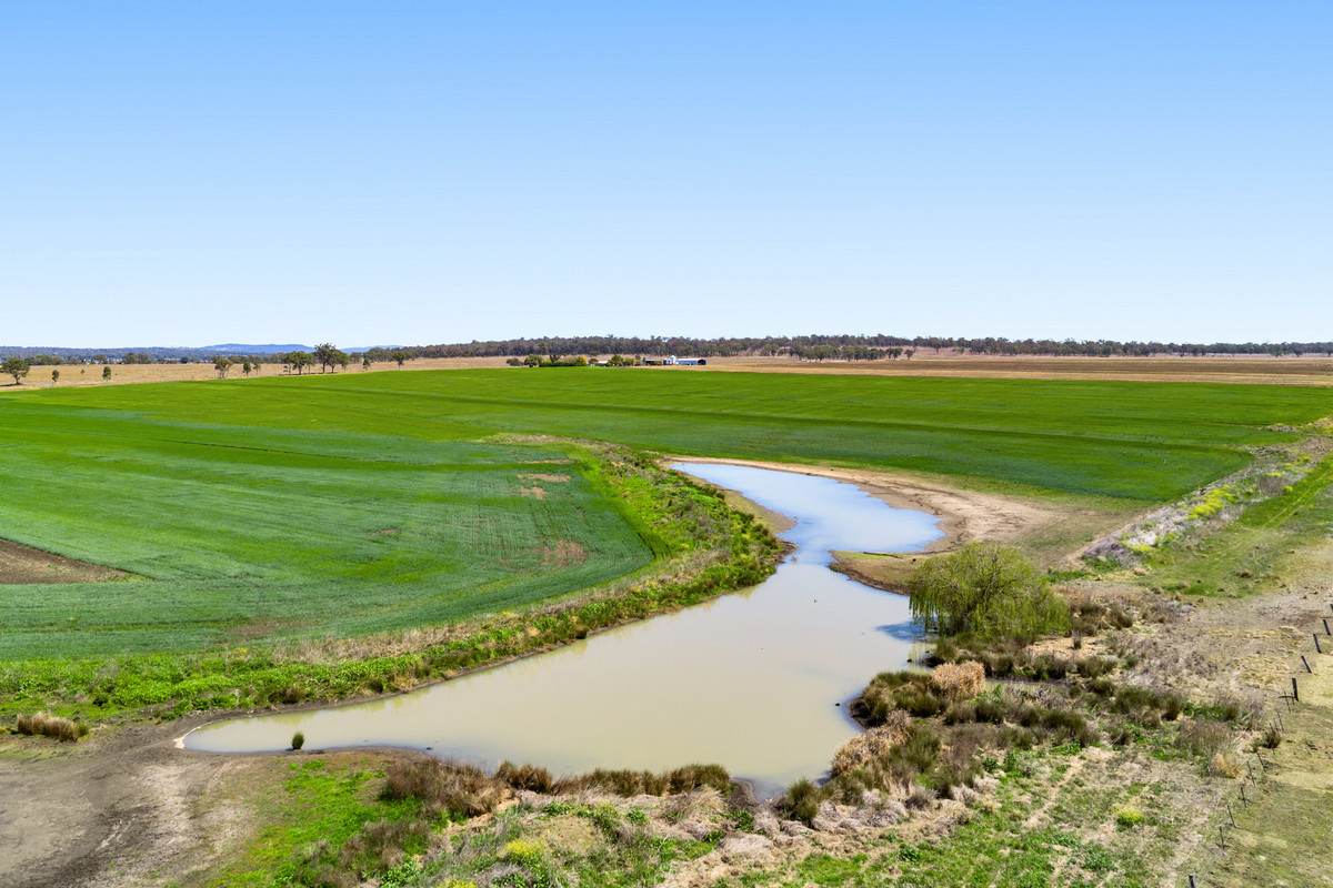 818 Dungannon Road, Clifton For Sale by Farmbuy.com - image 13