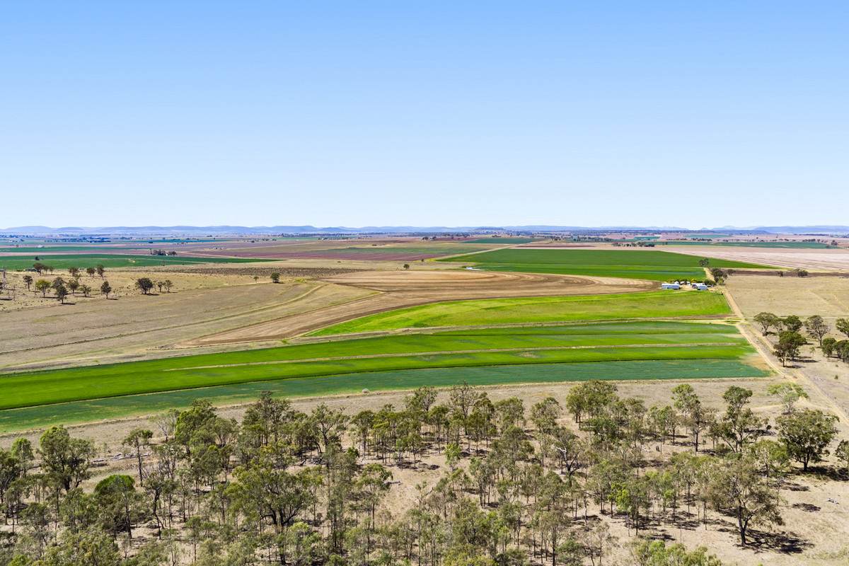 818 Dungannon Road, Clifton For Sale by Farmbuy.com - image 11