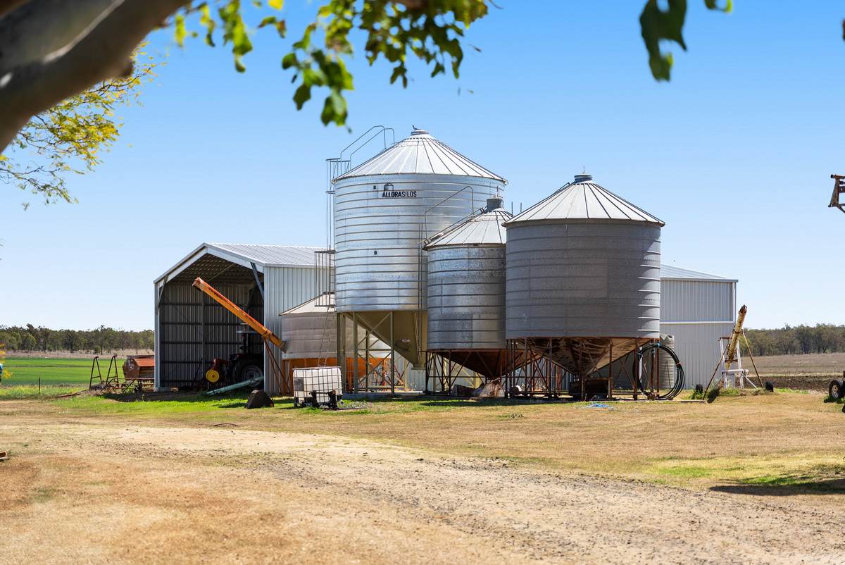 818 Dungannon Road, Clifton For Sale by Farmbuy.com - image 14