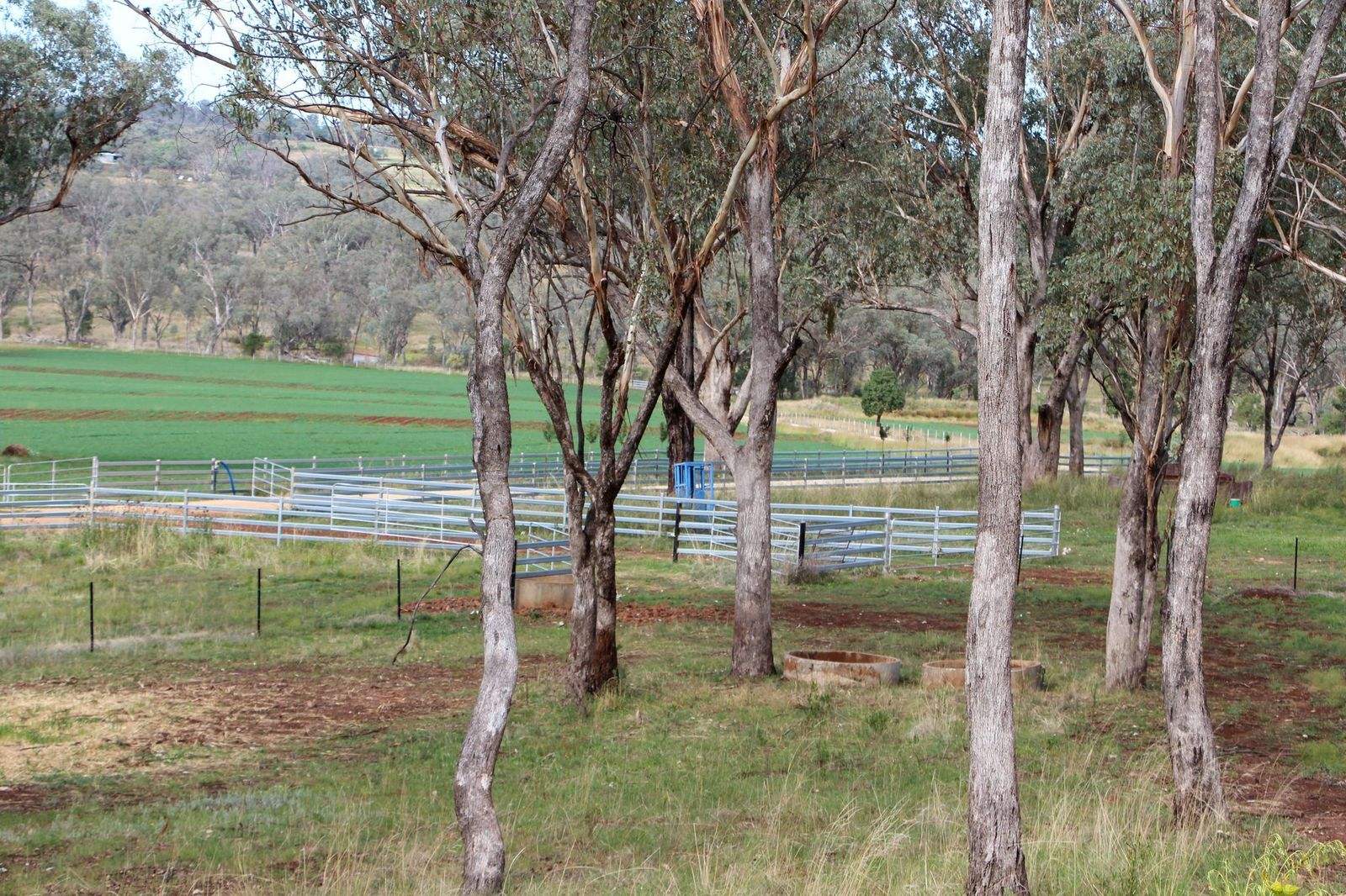 1036 Rob Roy Road, Inverell For Sale by Farmbuy.com - image 26