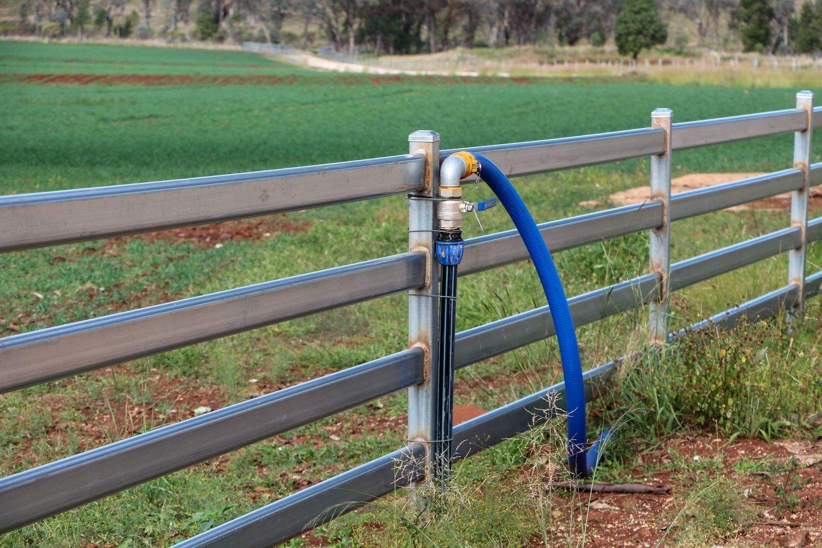 1036 Rob Roy Road, Inverell For Sale by Farmbuy.com - image 23