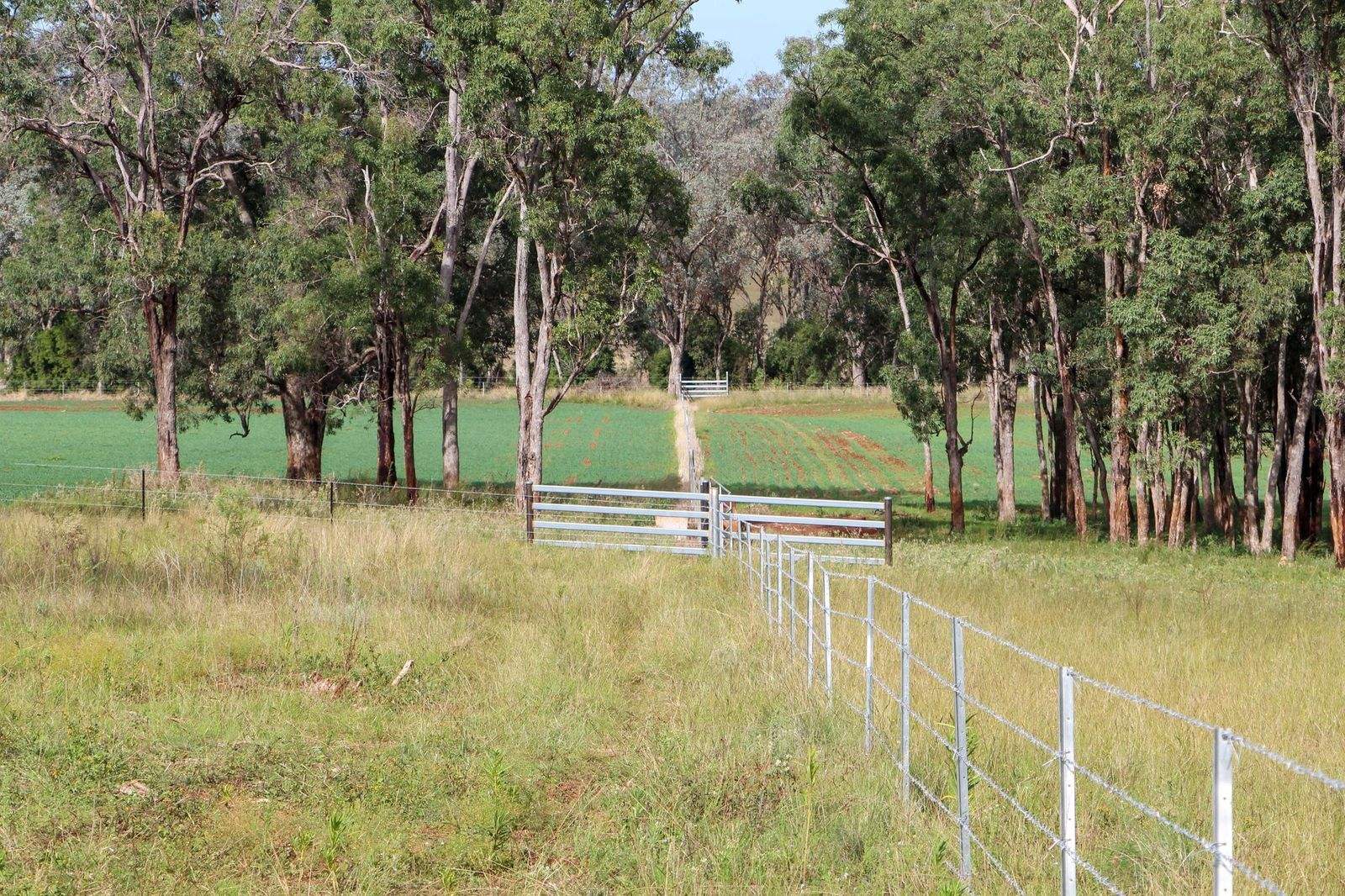 1036 Rob Roy Road, Inverell For Sale by Farmbuy.com - image 24