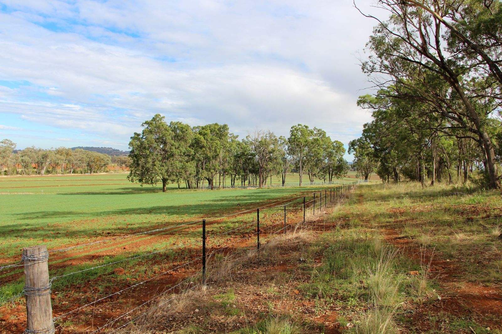 1036 Rob Roy Road, Inverell For Sale by Farmbuy.com - image 22