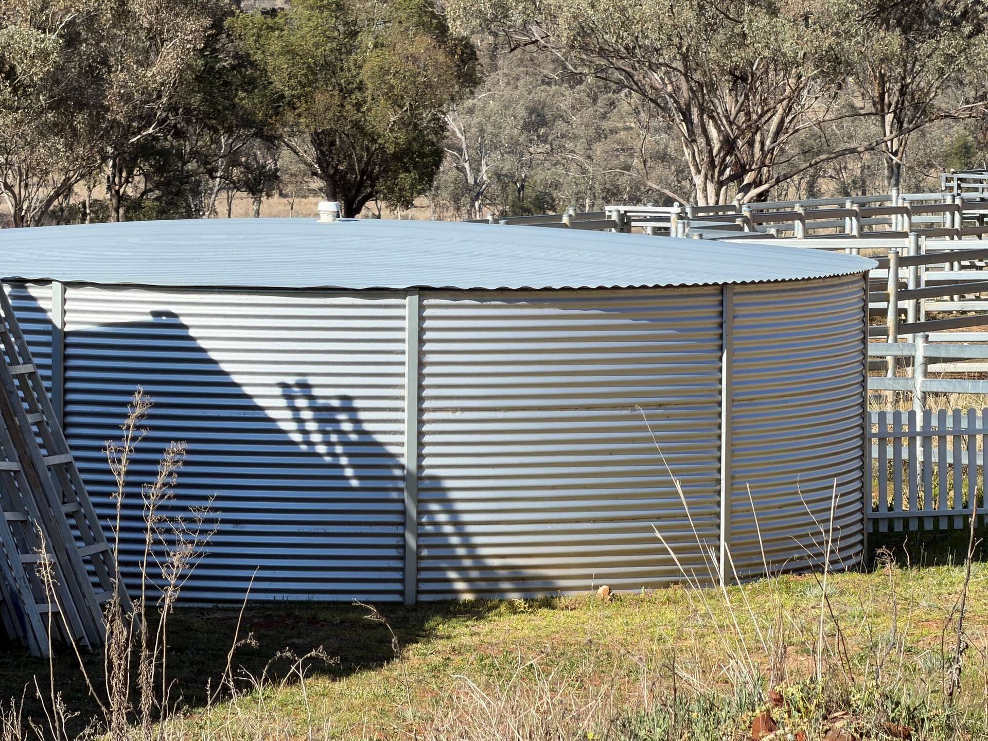 1036 Rob Roy Road, Inverell For Sale by Farmbuy.com - image 20