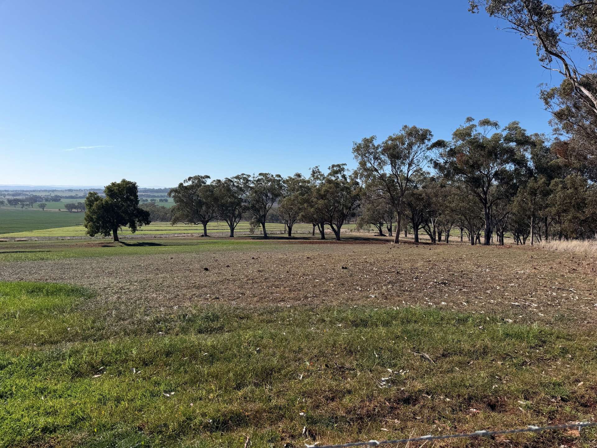 1036 Rob Roy Road, Inverell For Sale by Farmbuy.com - image 21