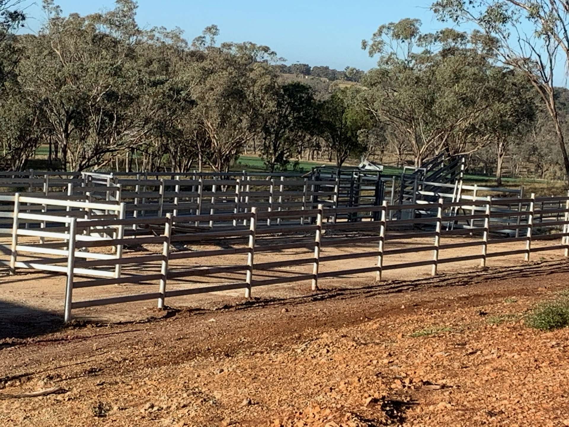 1036 Rob Roy Road, Inverell For Sale by Farmbuy.com - image 13