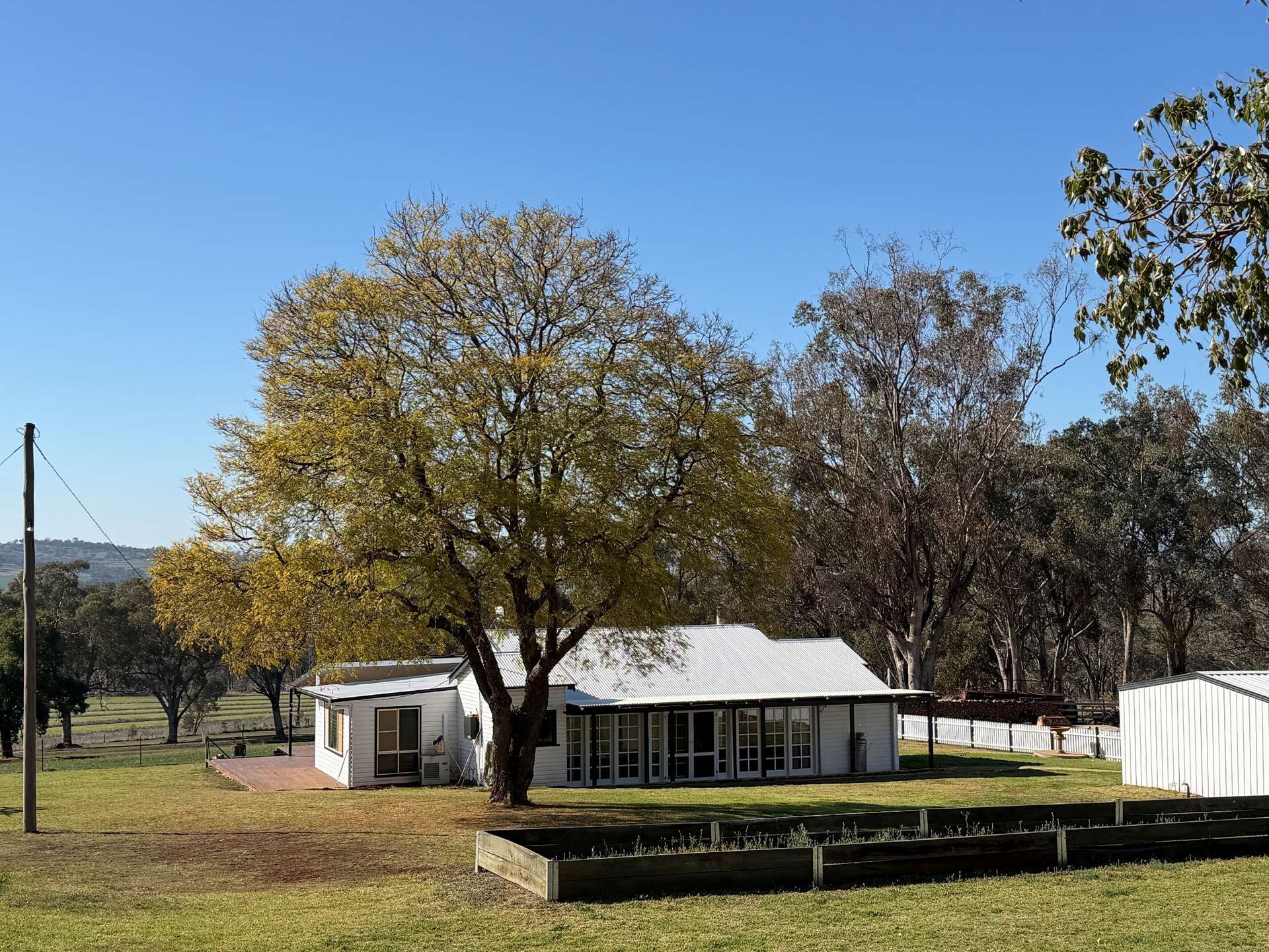 1036 Rob Roy Road, Inverell For Sale by Farmbuy.com - image 2