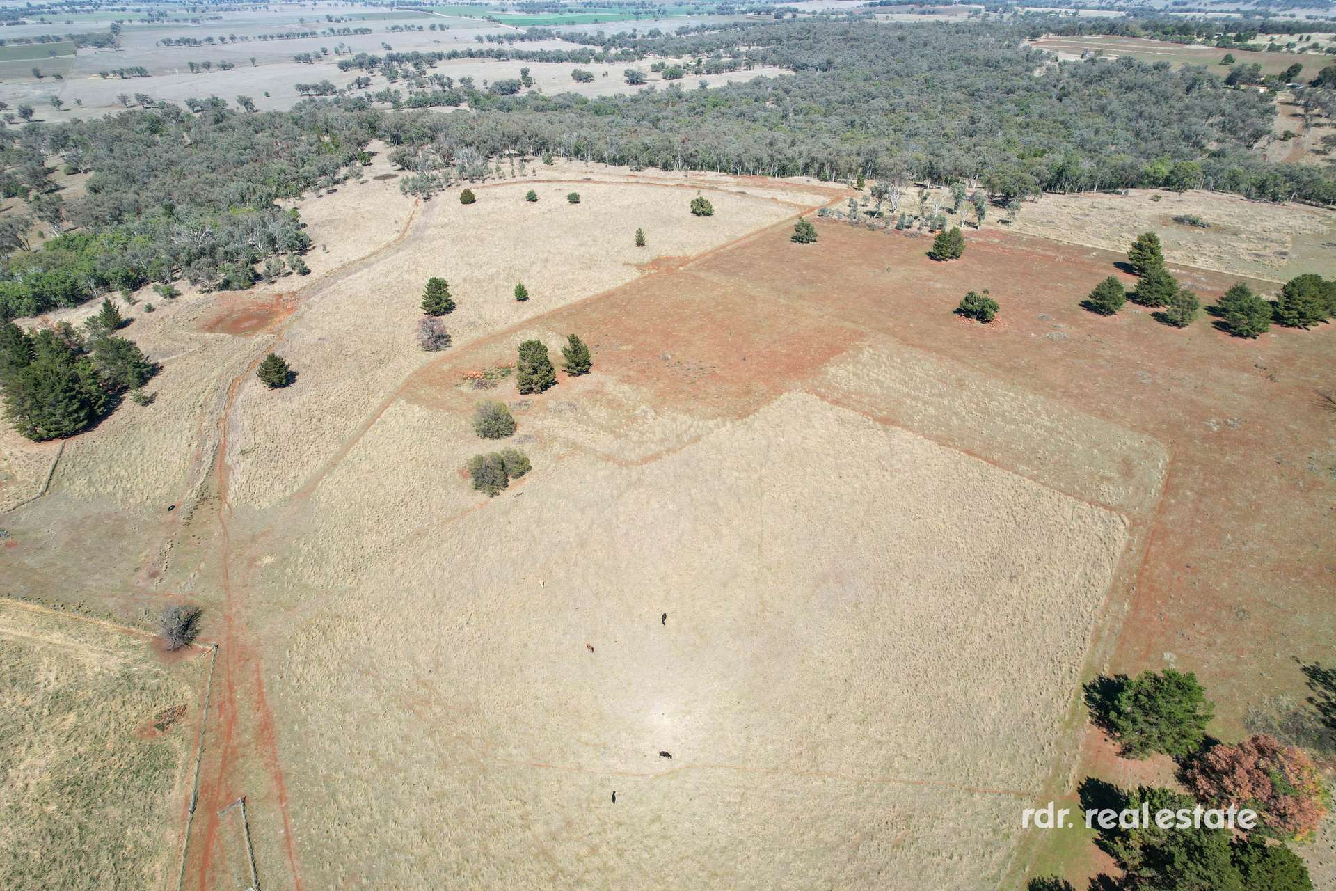 377 Copeton Dam Road, Inverell For Sale by Farmbuy.com - image 34