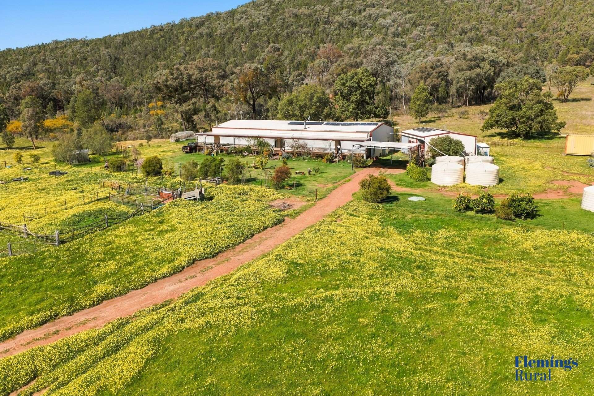 1235 Kangarooby Road, Gooloogong For Sale by Farmbuy.com - image 2