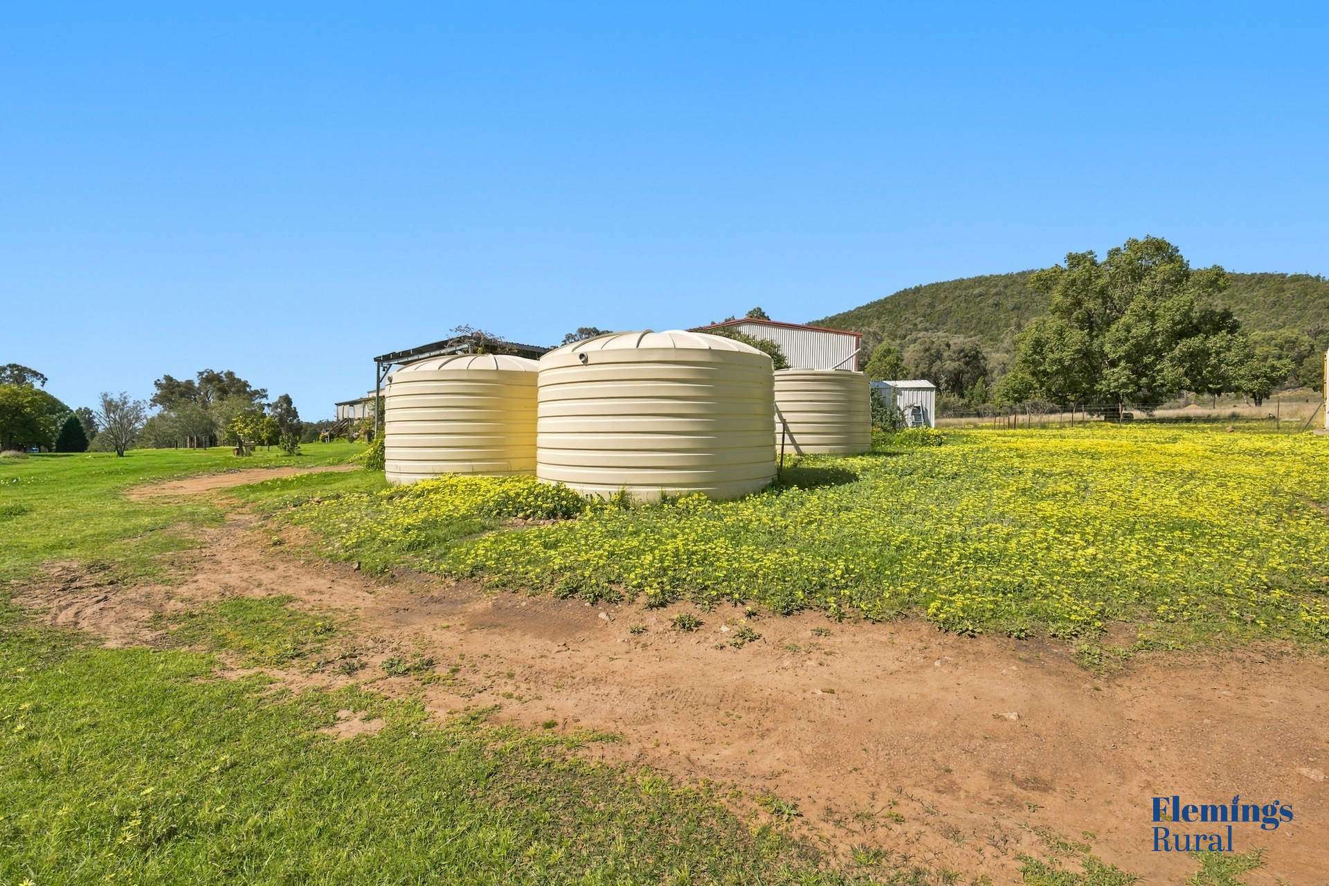 1235 Kangarooby Road, Gooloogong For Sale by Farmbuy.com - image 17
