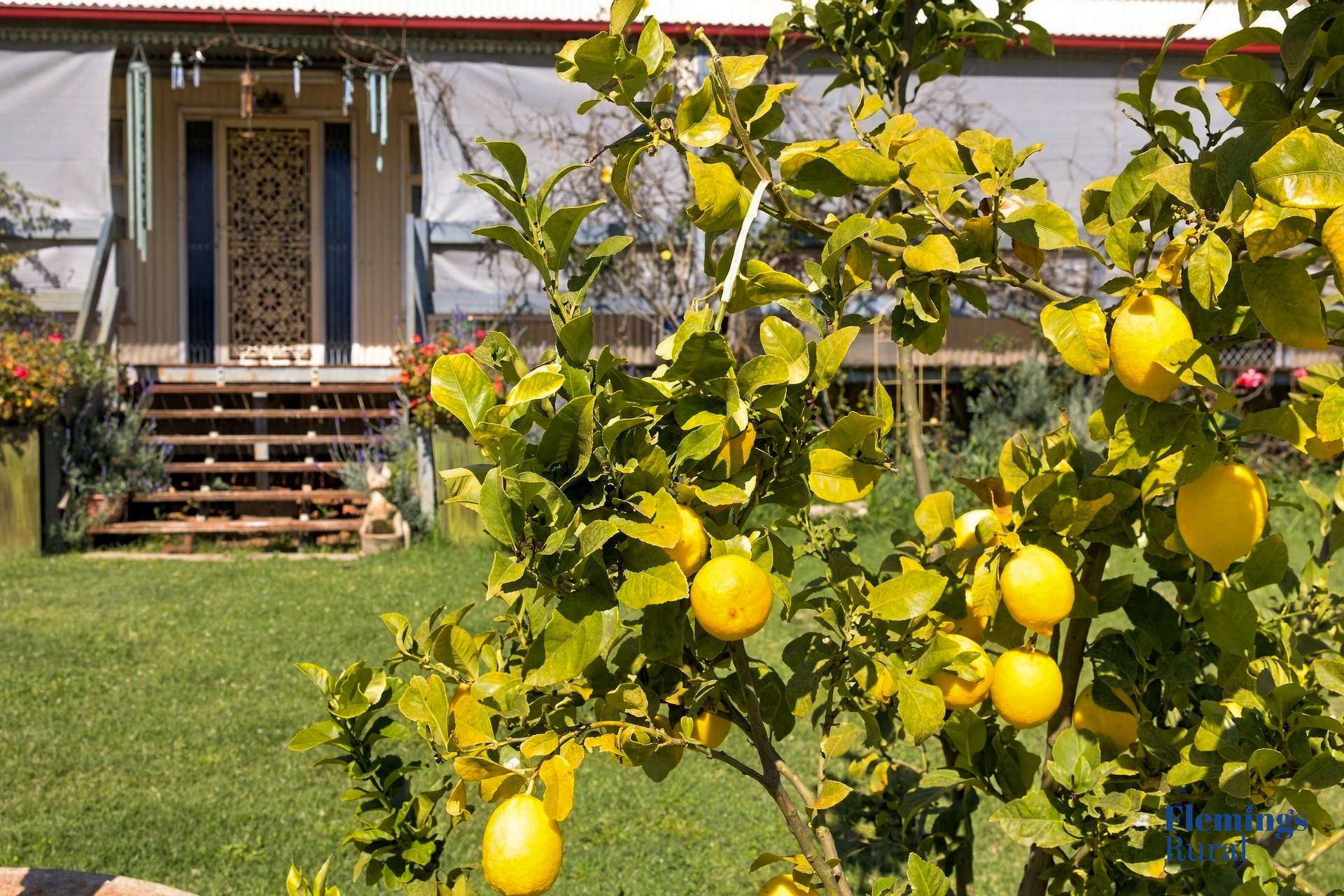 1235 Kangarooby Road, Gooloogong For Sale by Farmbuy.com - image 21