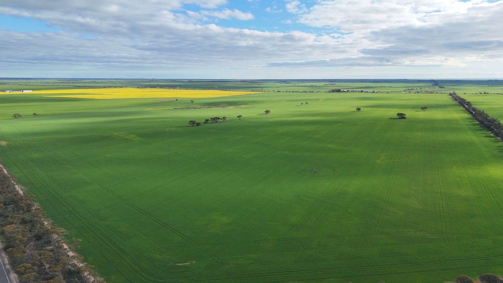 Lot 104 Coxs Road, Tickera For Sale by Farmbuy.com - image 21