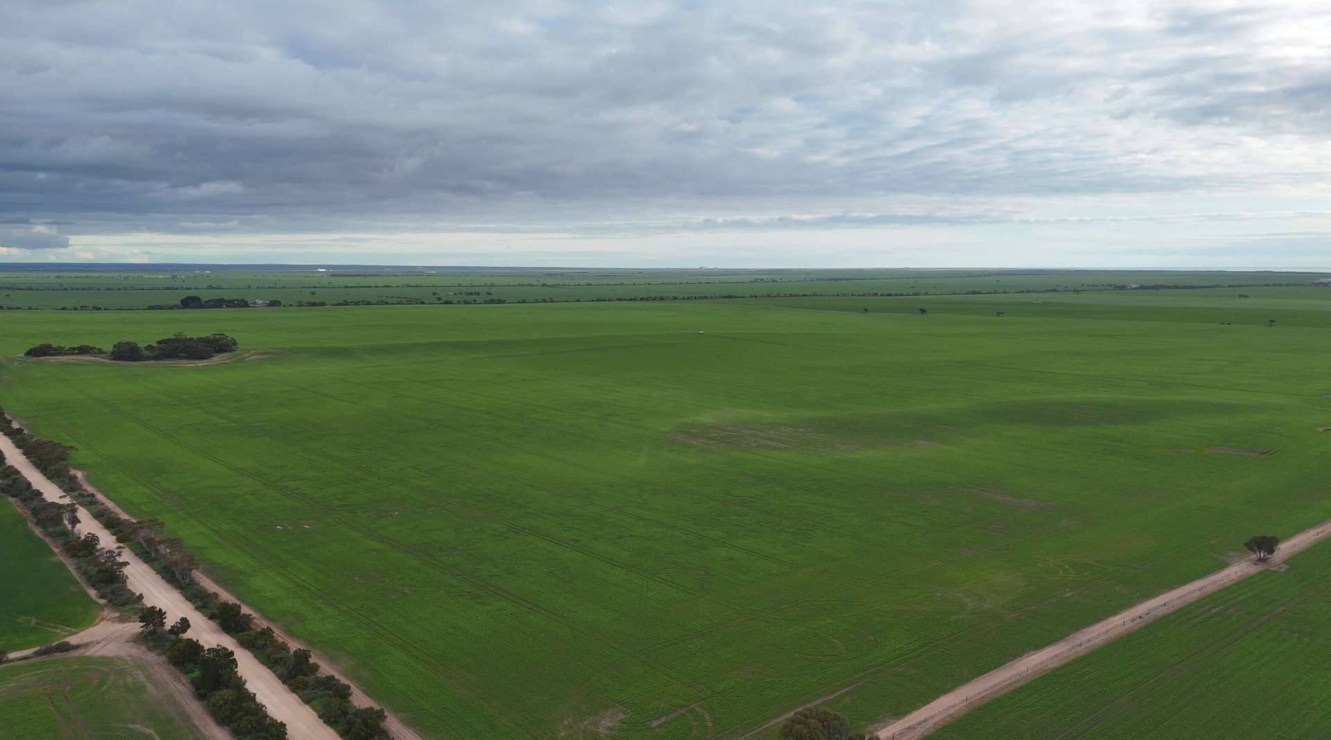 Lot 104 Coxs Road, Tickera For Sale by Farmbuy.com - image 15