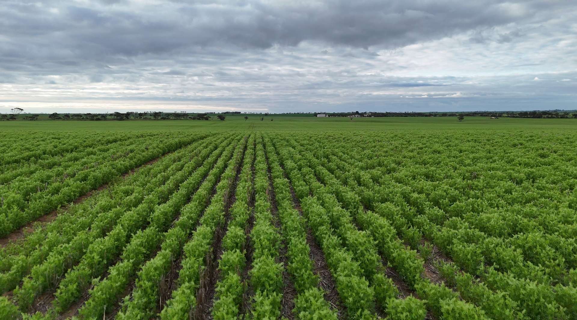 Lot 104 Coxs Road, Tickera For Sale by Farmbuy.com - image 18
