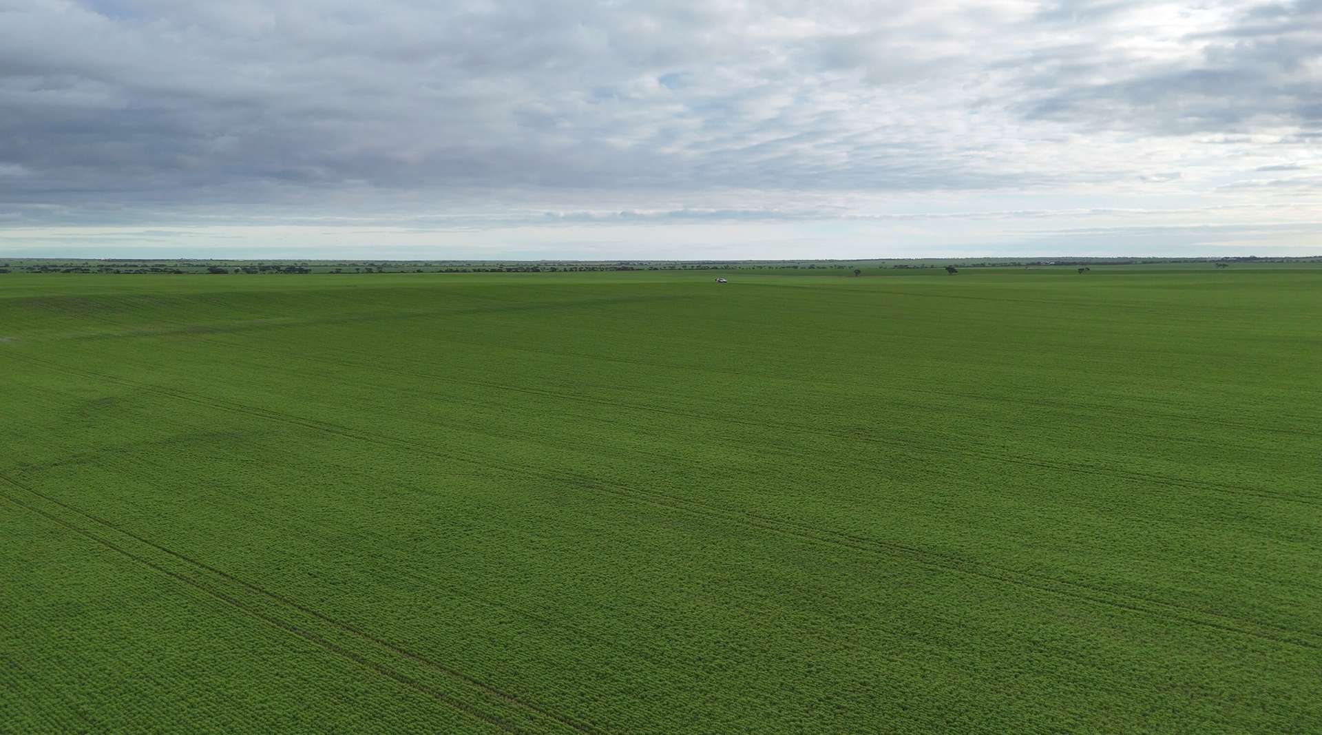 Lot 104 Coxs Road, Tickera For Sale by Farmbuy.com - image 16