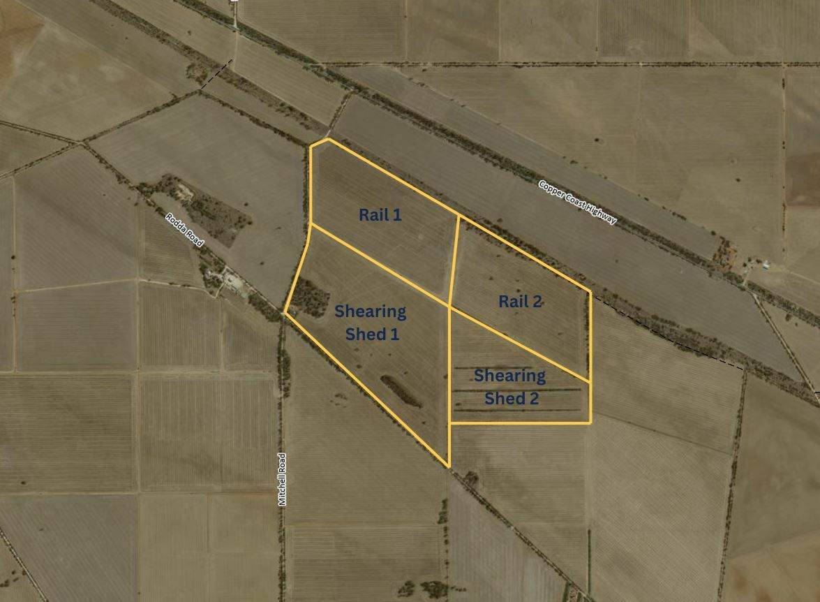 110 Rodda Rd, Boors Plain For Sale by Farmbuy.com - image 8