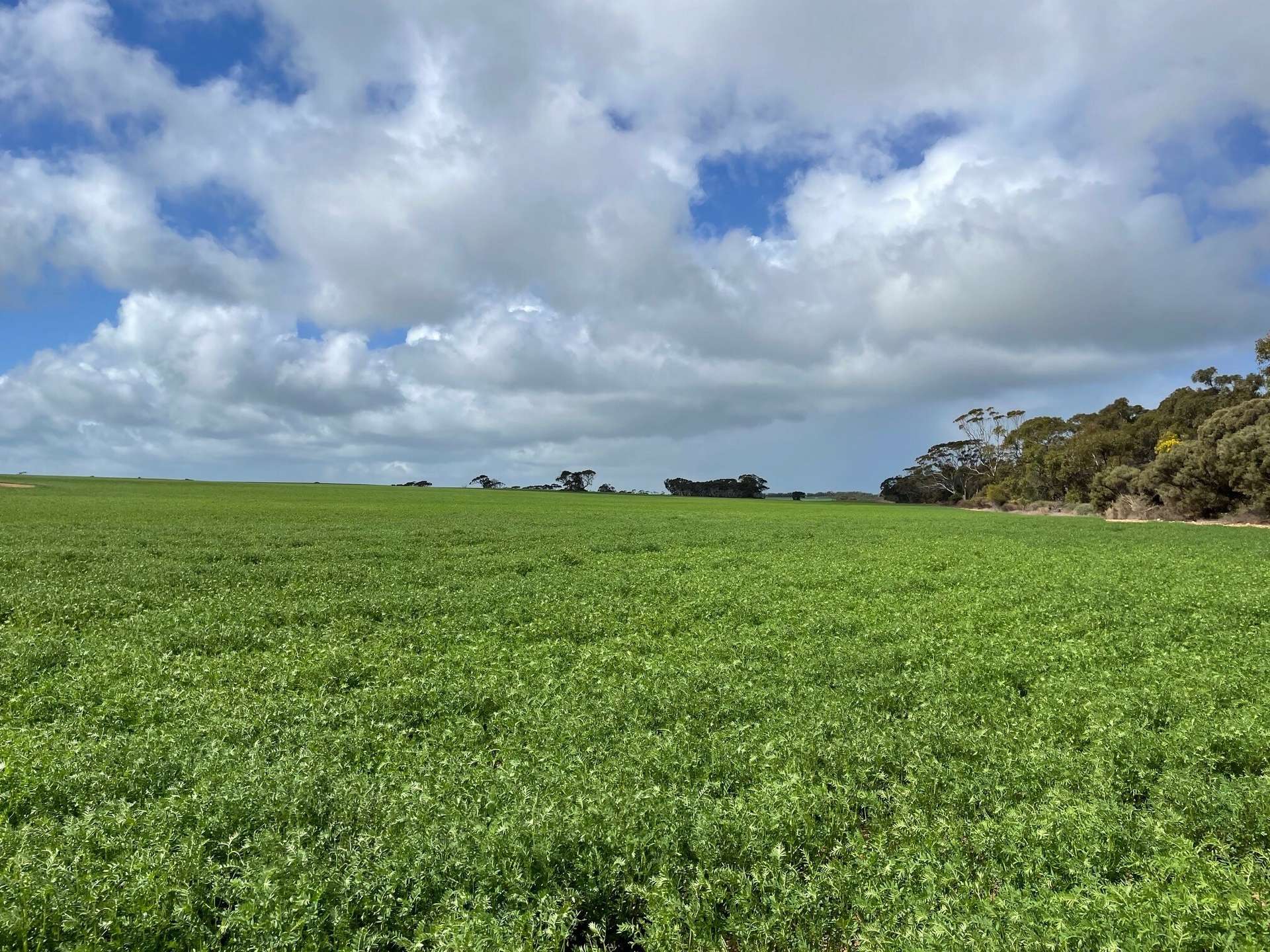 110 Rodda Rd, Boors Plain For Sale by Farmbuy.com - image 7