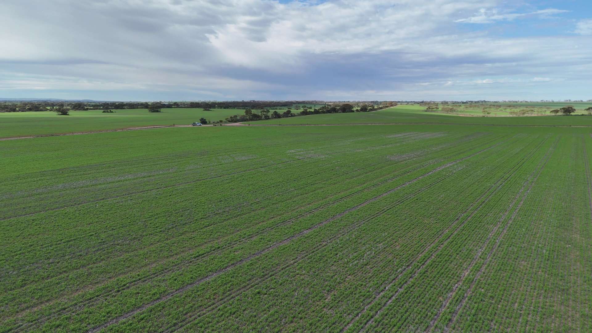 110 Rodda Rd, Boors Plain For Sale by Farmbuy.com - image 5